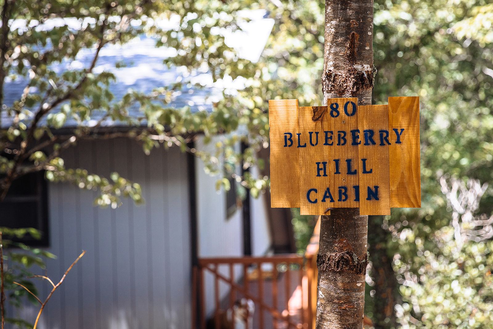 Blueberry Hill Cabin in the Smokies Cabins for Rent in Almond, North Carolina, United States