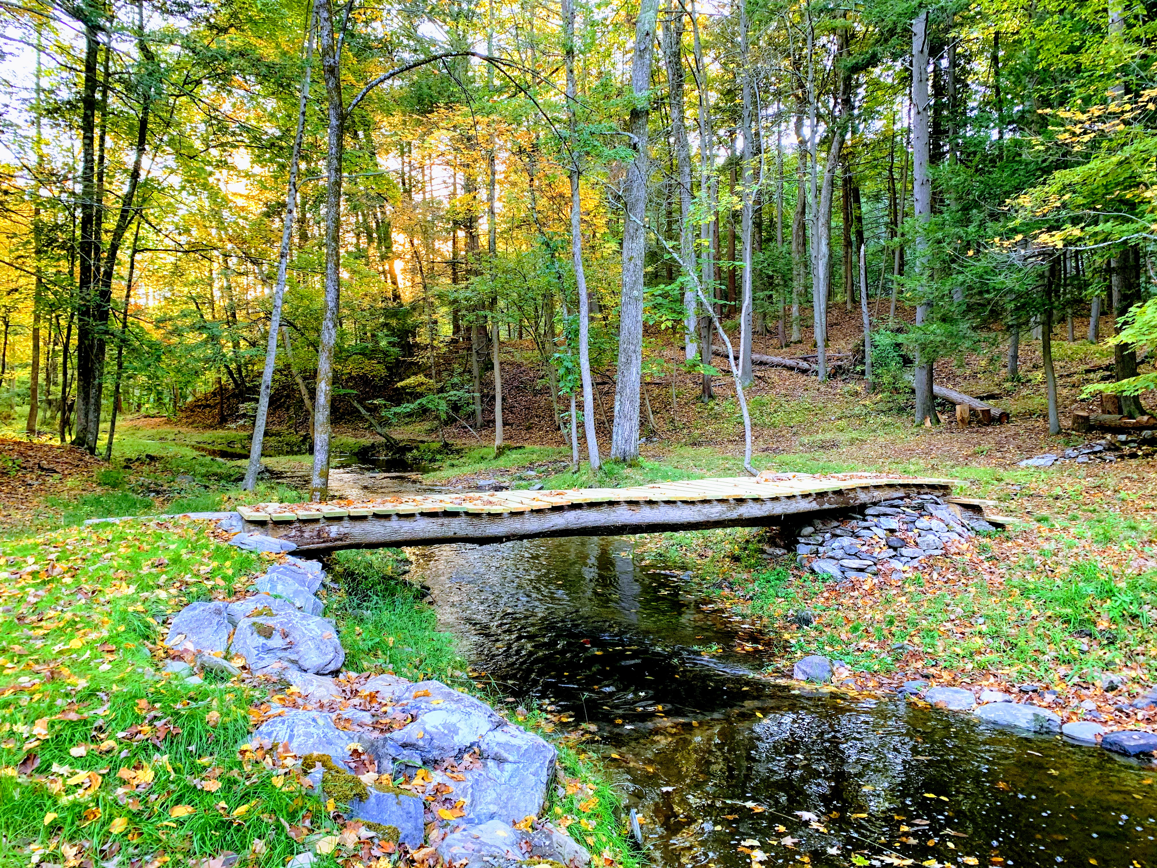 3Br Creekside Cottage on 130 acre forest w/ trails