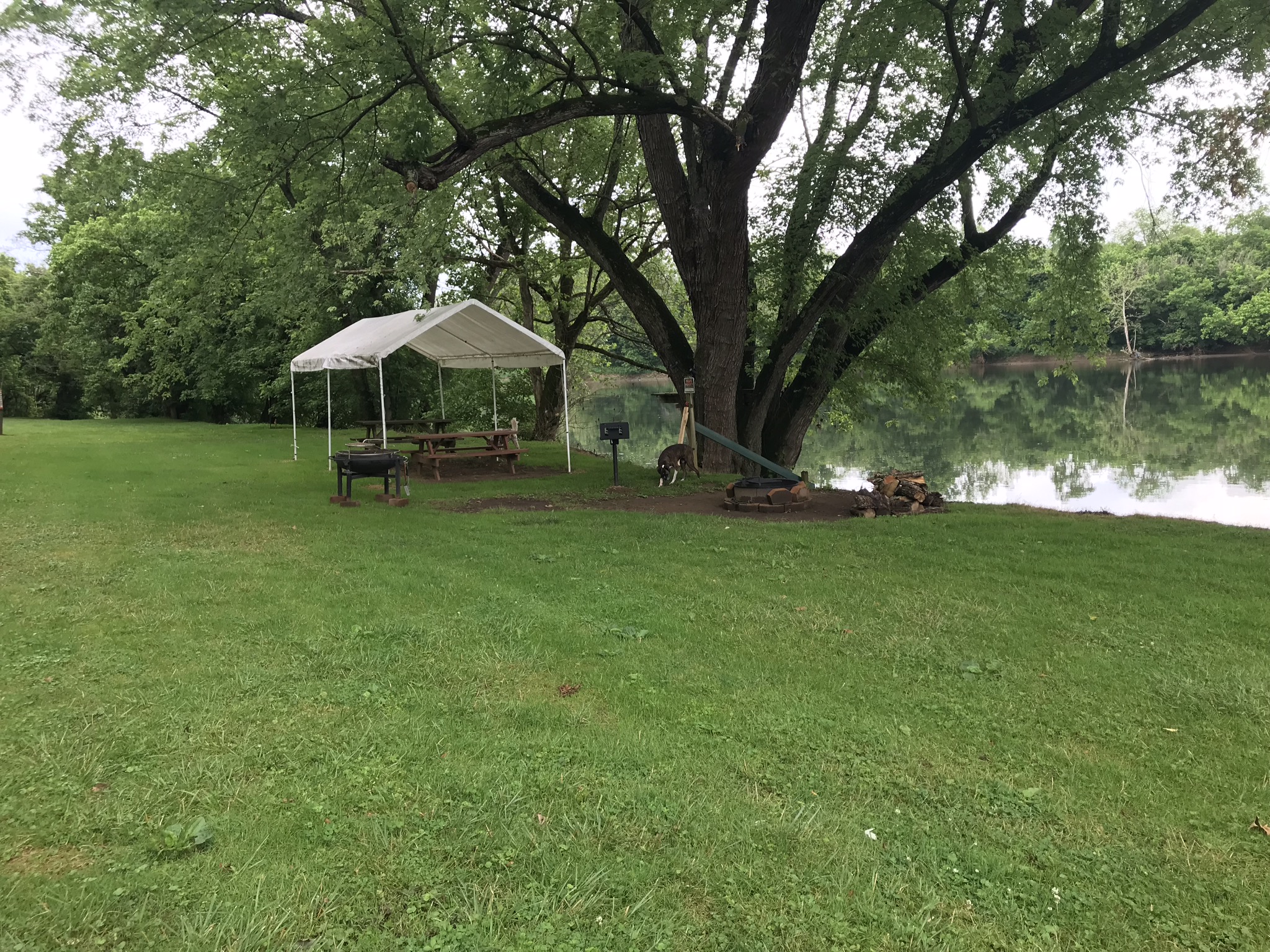 Private Camp on New River Blacksburg, dog friendly Campsites for Rent