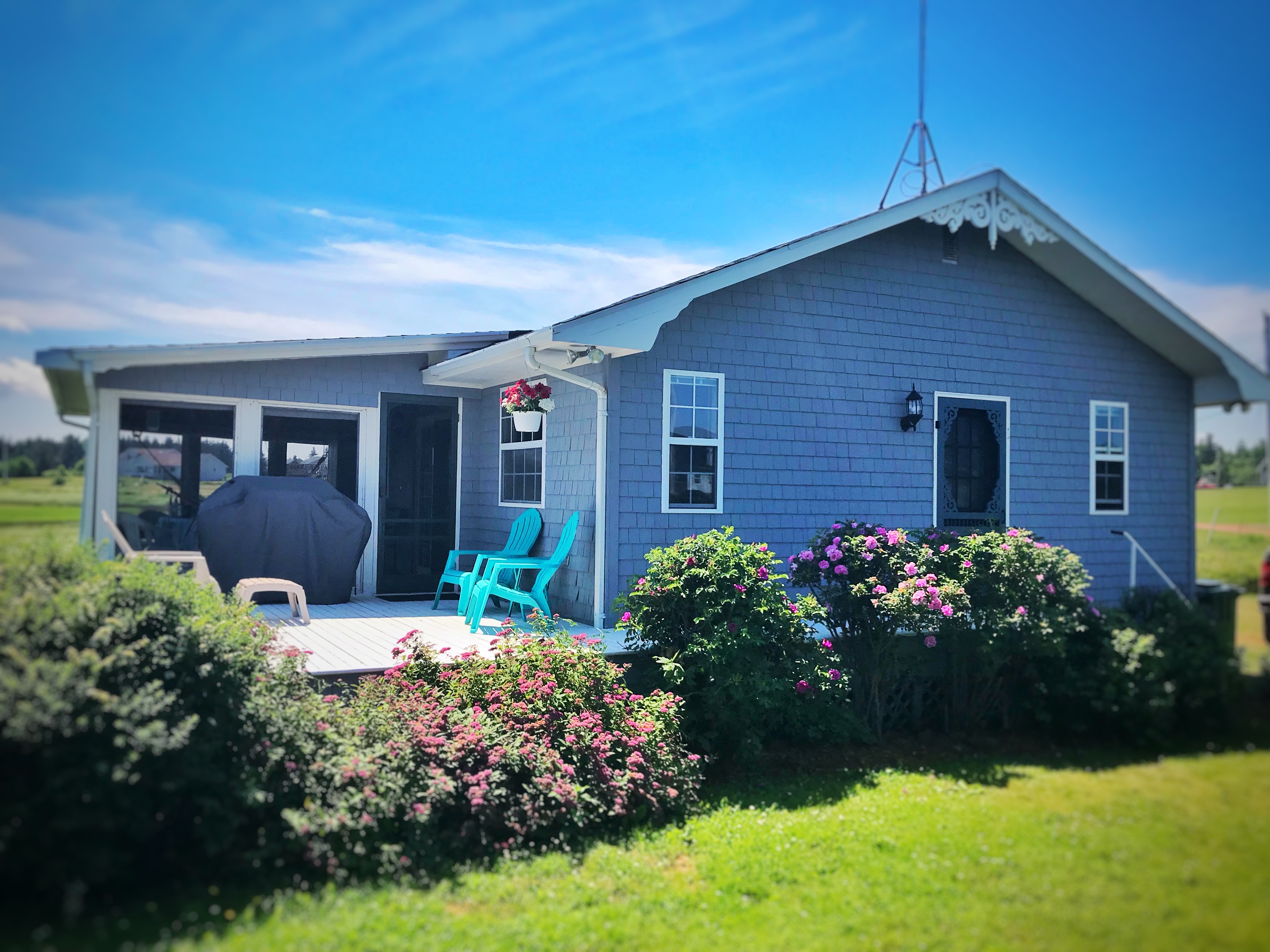 The Perfect Waterfront Getaway At Brackley Beach - Cottages For Rent In ...