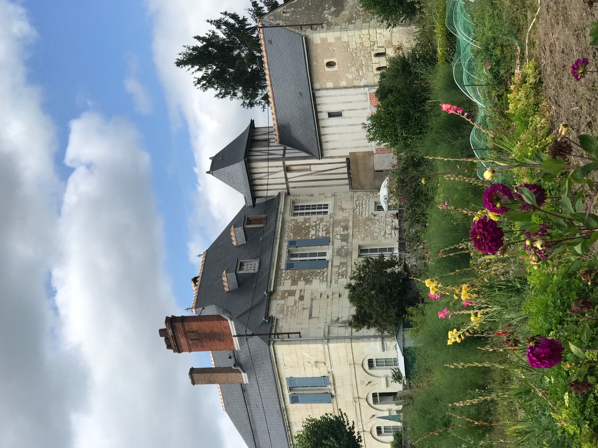 Charming little bright cottage on the garden level