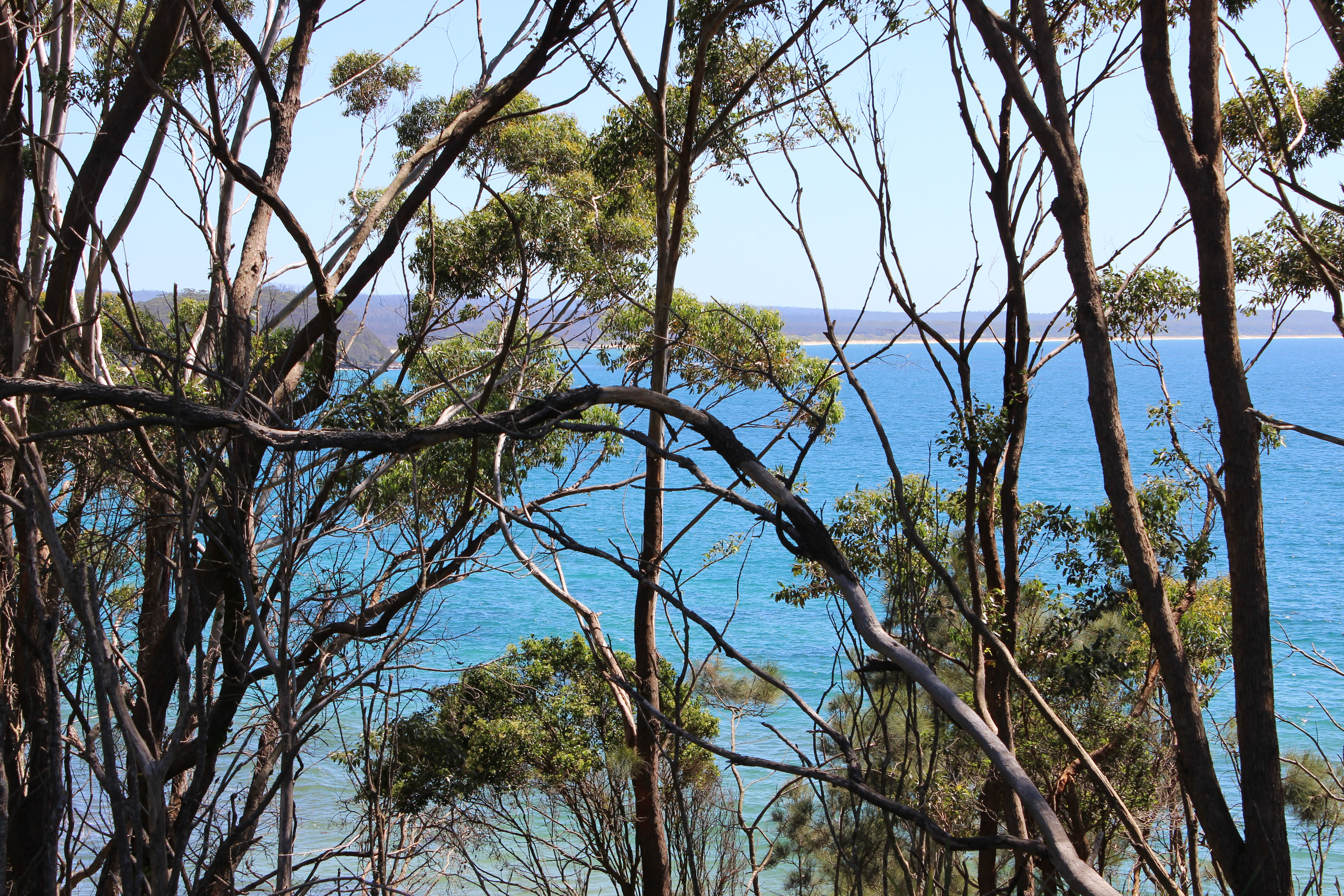 Airlie's On Bannister ocean views and beach access