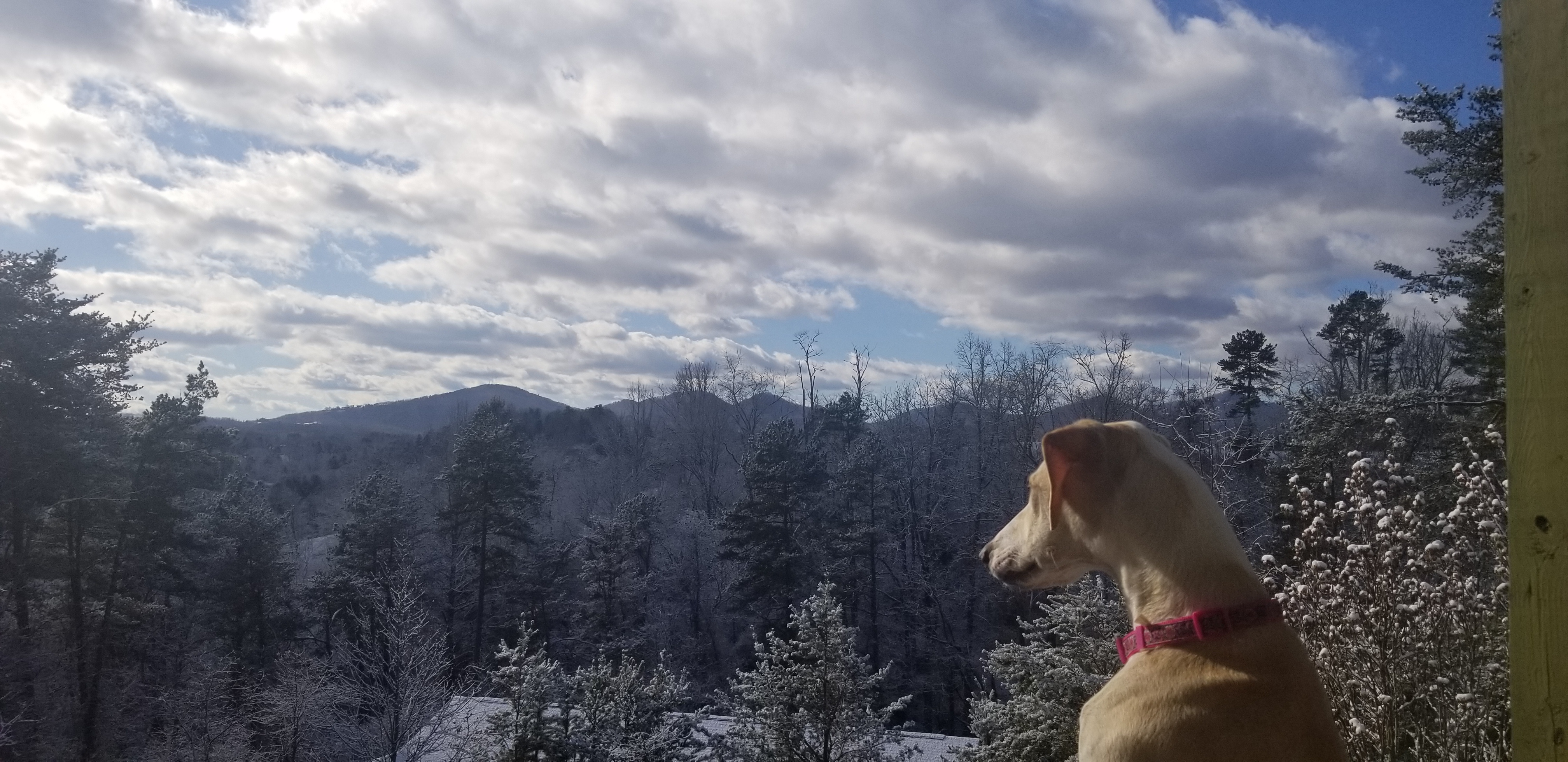 Comfortable with fabulous mountain views!