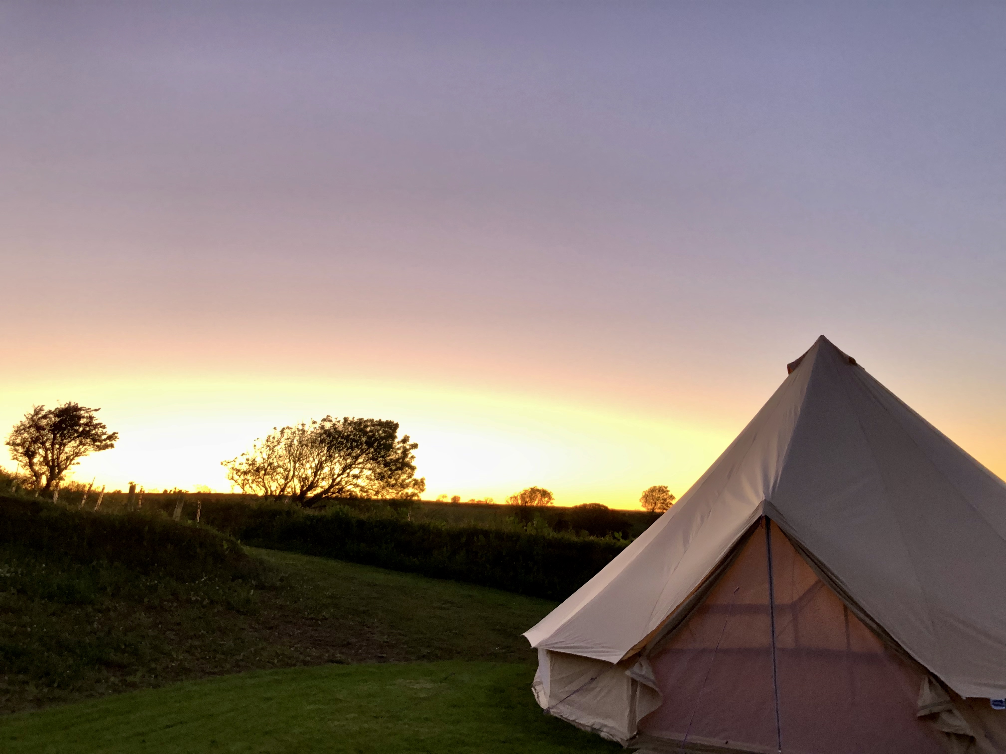 Glamping in South Hams. Tents for Rent in Devon, England, United Kingdom