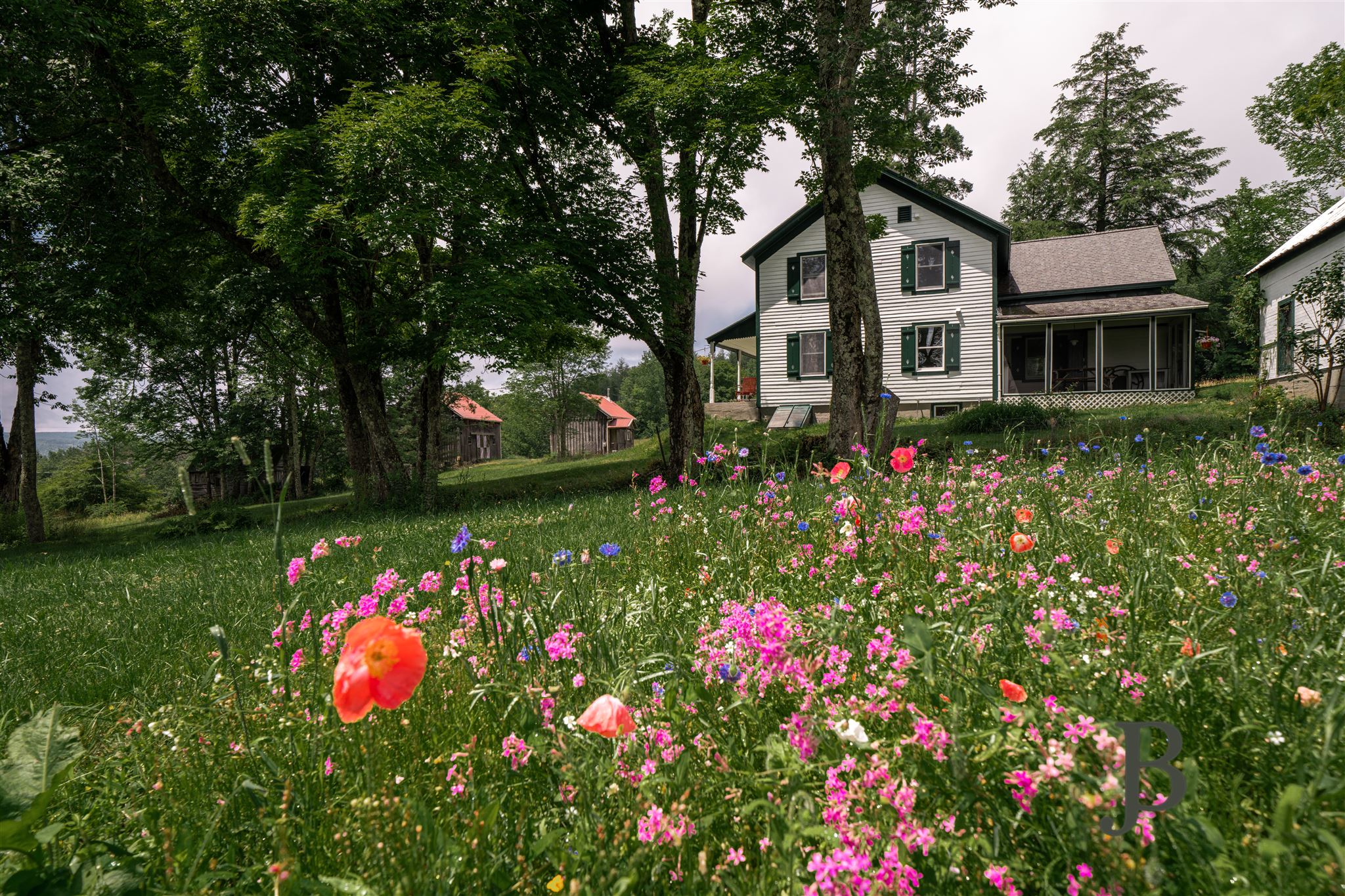Modern Scandi Farmhouse: sauna, trails, pond +90ac