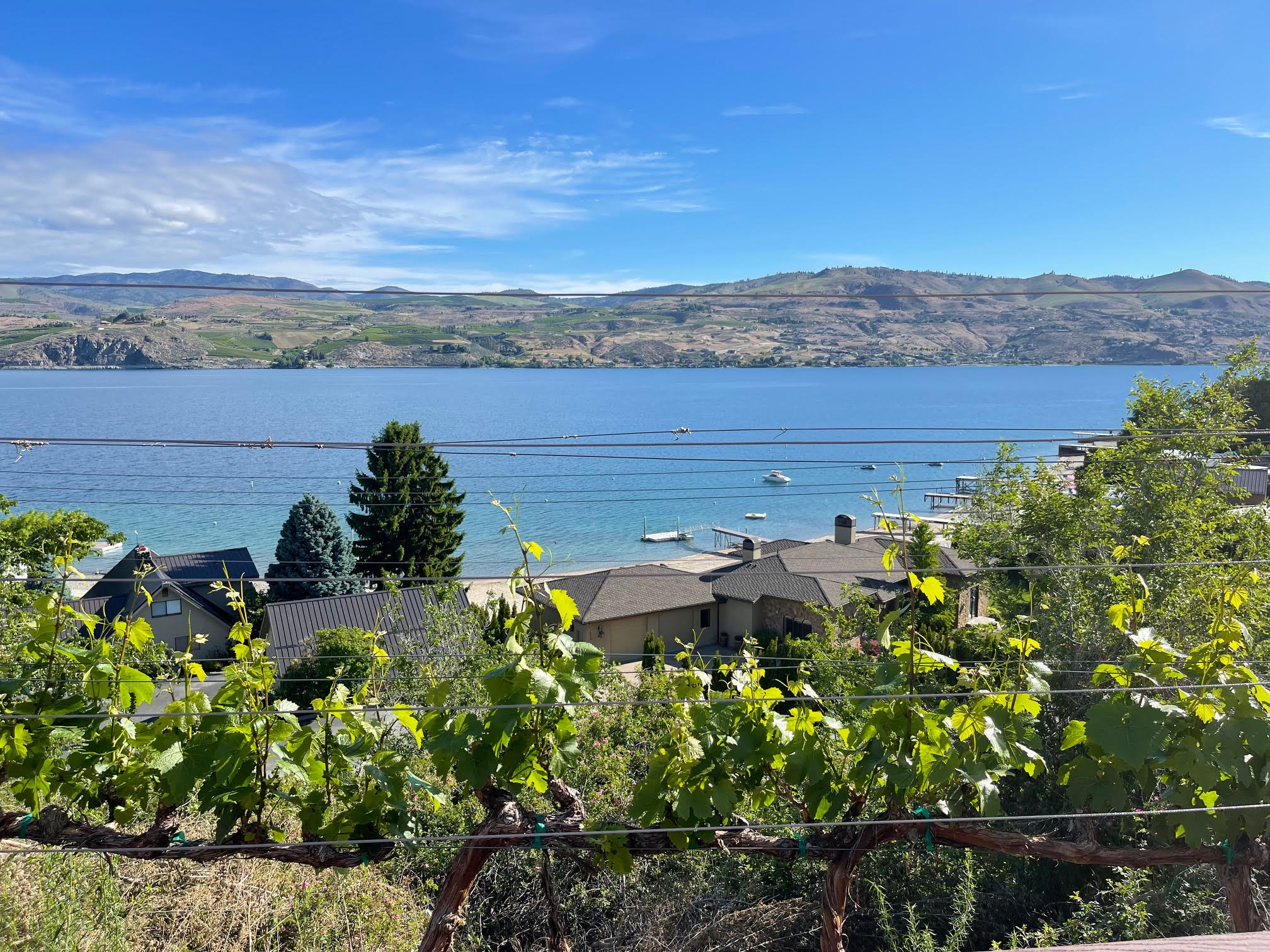 Chelan Grand Estate STR 000746