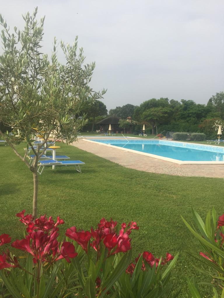 Holiday apartment in Grado with swimming pool