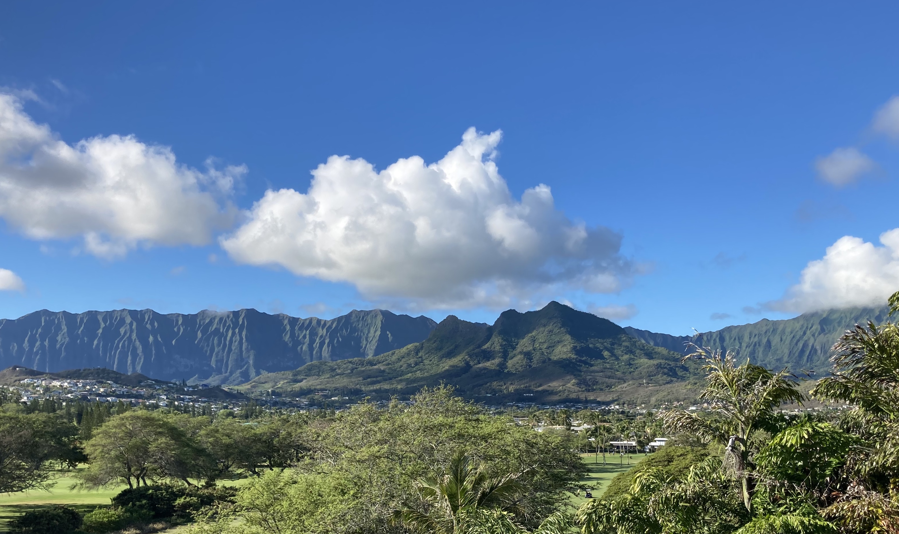 Stunning Views. To inquire please contact owners.