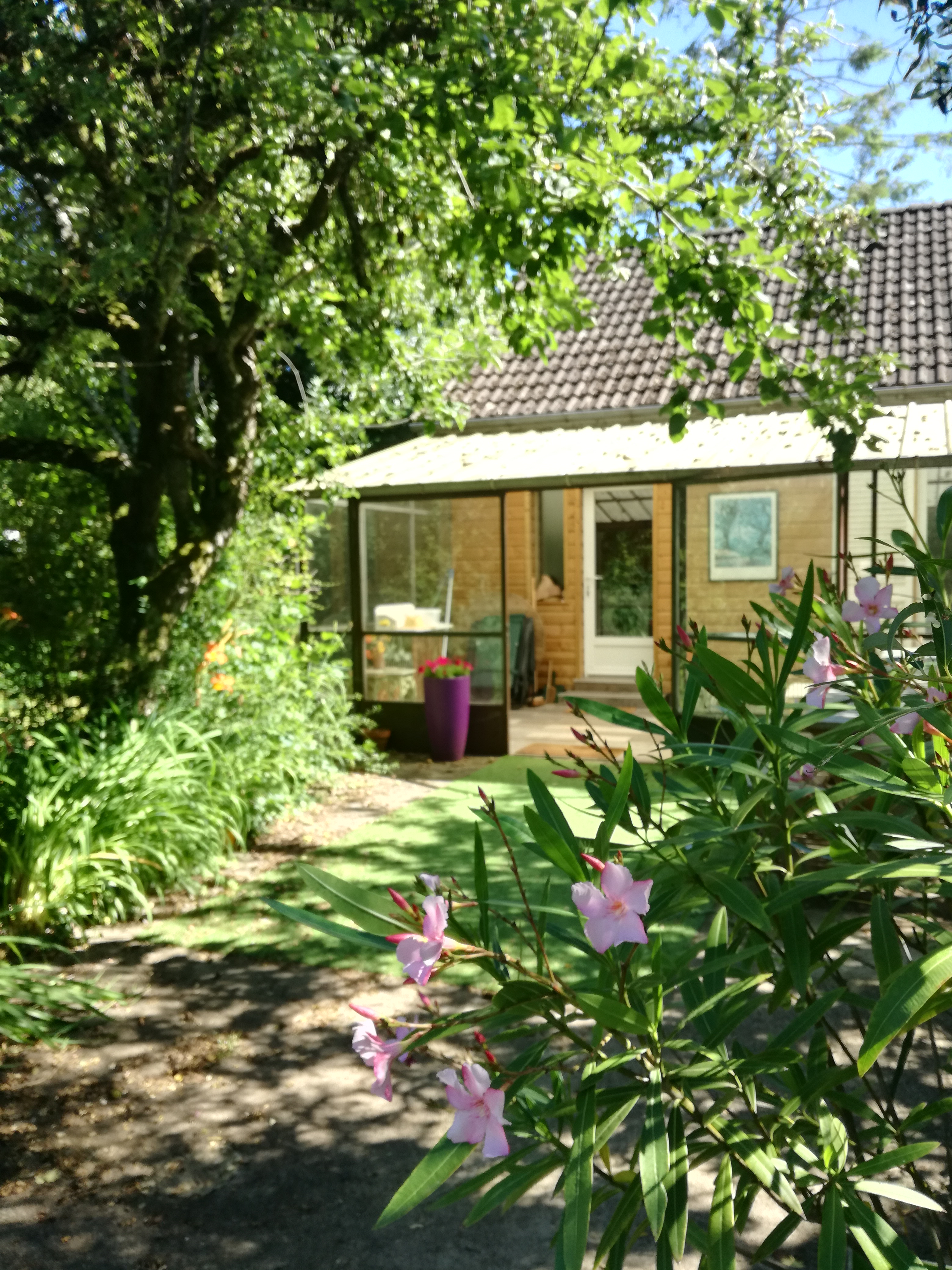 nice, pleasant and comfortable house.