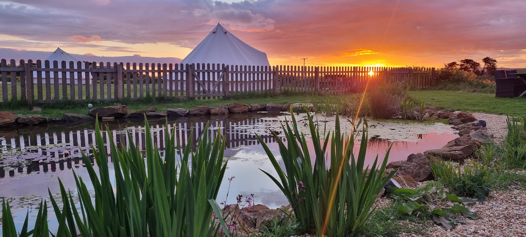 Family Bell tent, Beautiful Farm Campsite( Bella)