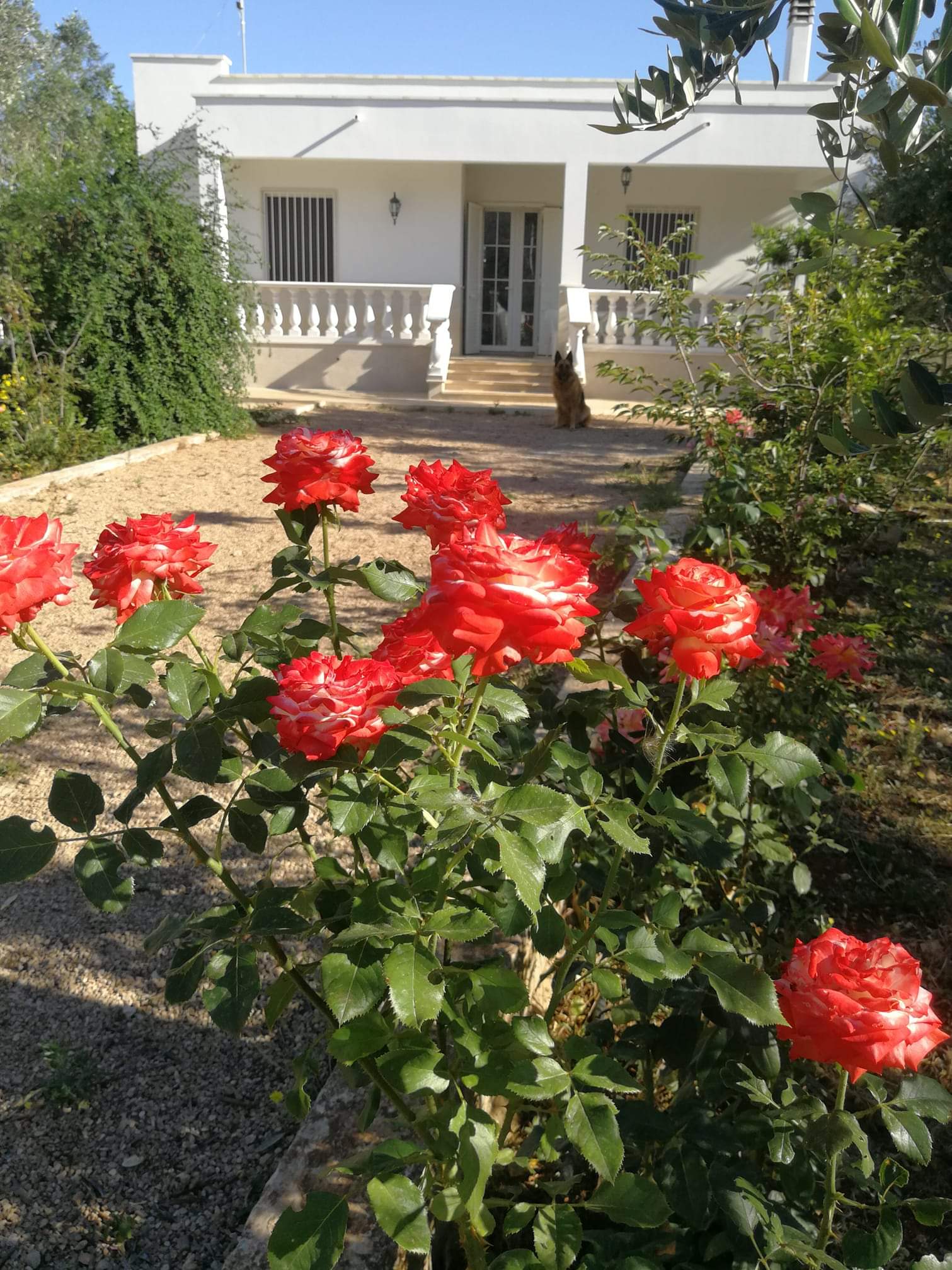 Countryside house with garden 10 km from Gallipoli