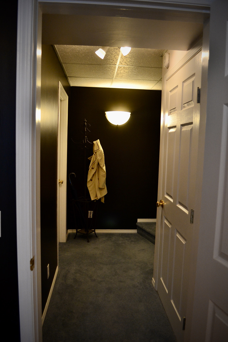 Lux town suite Backs onto river&paths w/fireplace Apartments for Rent