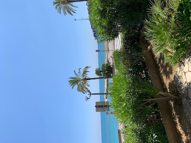APARTMENT T3 WATERFRONT WITH GARDEN AND PARKING