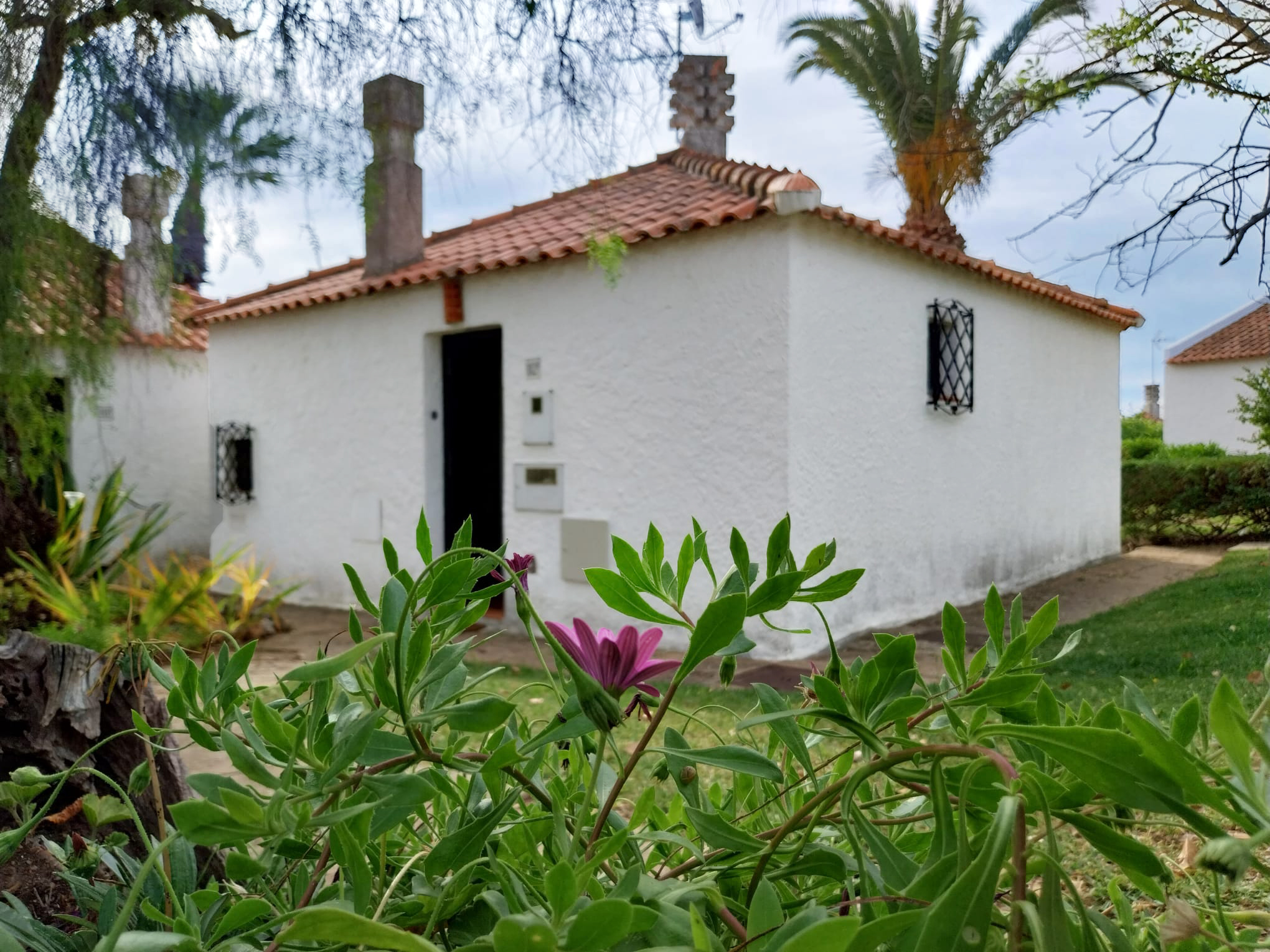 Charming Villa in Pedras D'El Rei