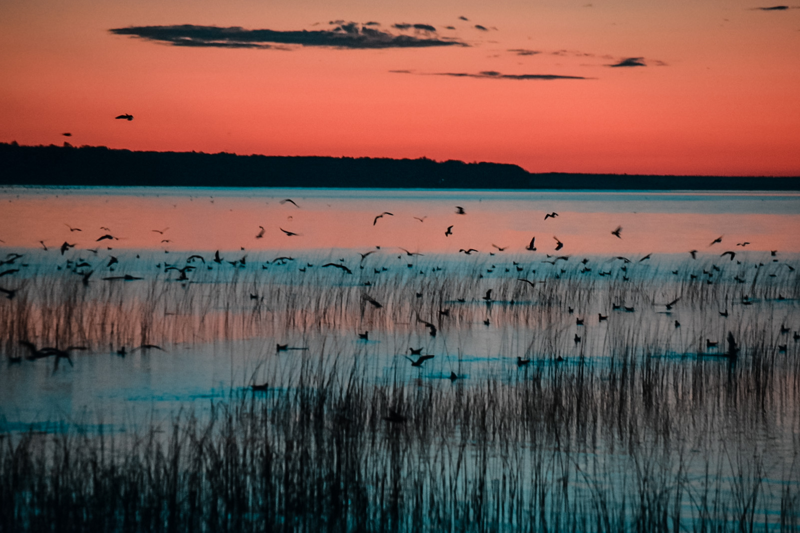 Cozy Lakefront Cabin on Delaronde Lake Sleeps 7 Cabins for Rent in Big River, Saskatchewan
