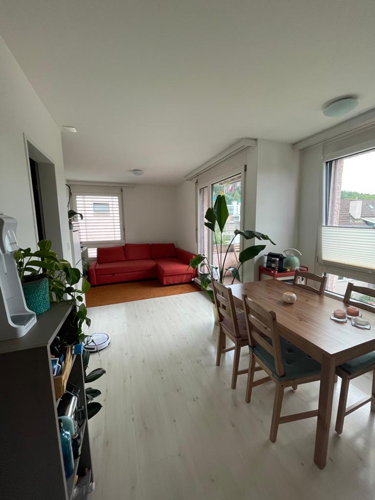 Comfortable 1.5 room apartment in Zurich Lofts for Rent in Zürich