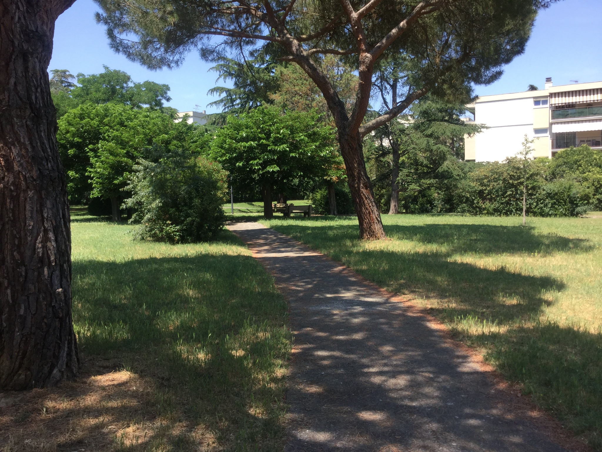 Nice and functional apartment in a good location