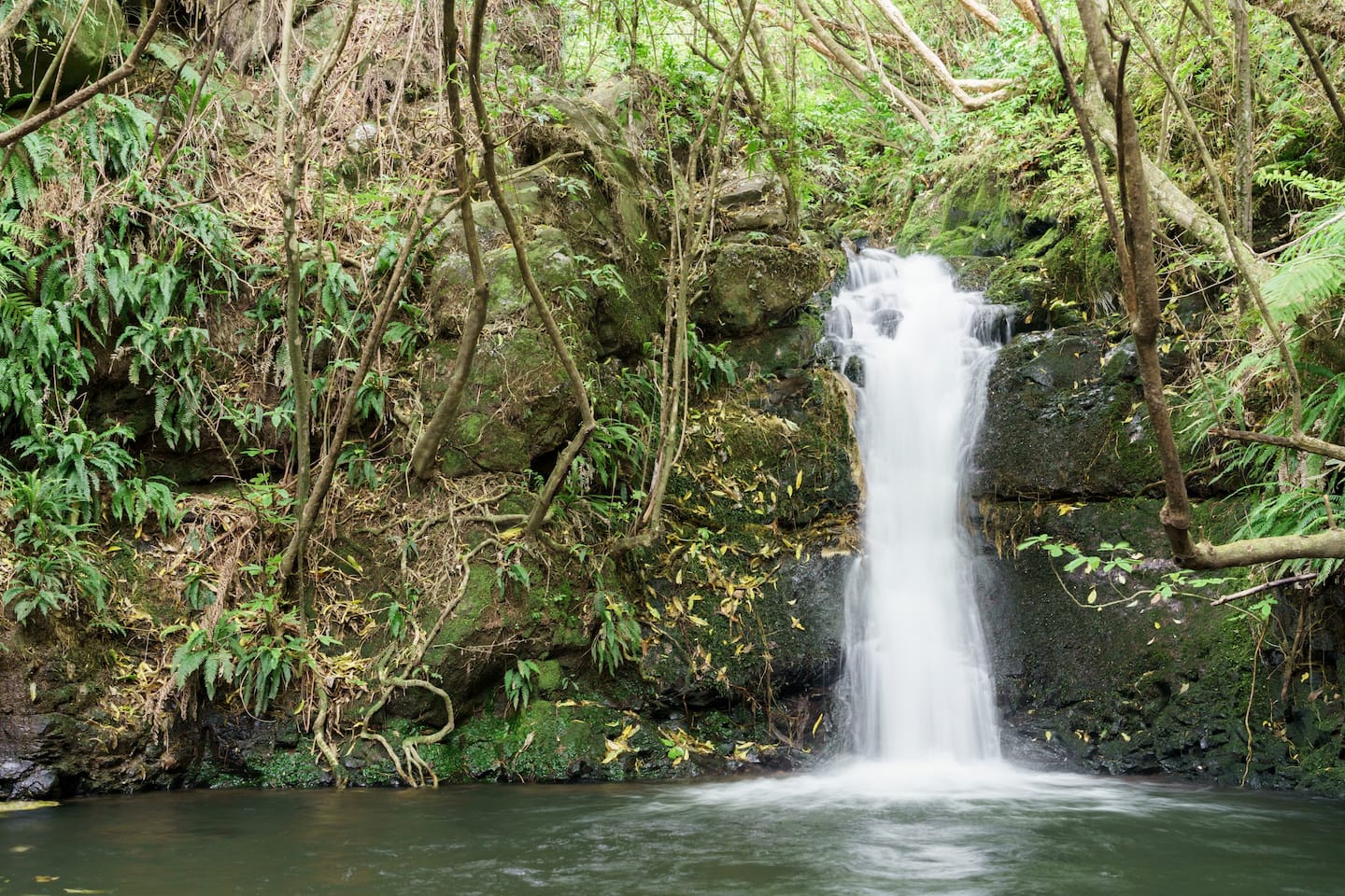 Unwind and relax amongst stunning native bush