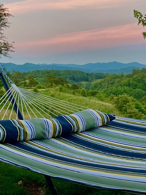 Mtn View Studio-Dog Friendly-20 Min to Asheville