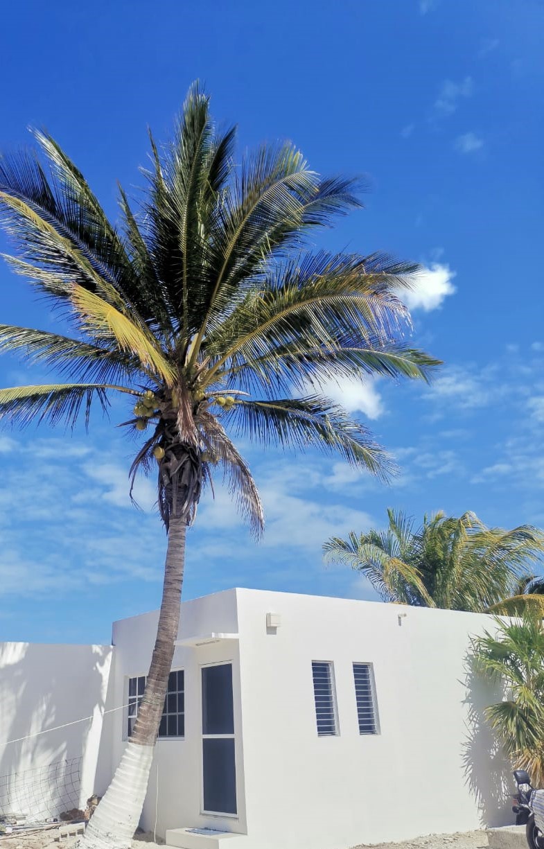 Casitas Gemelas Chelem Apartment 3