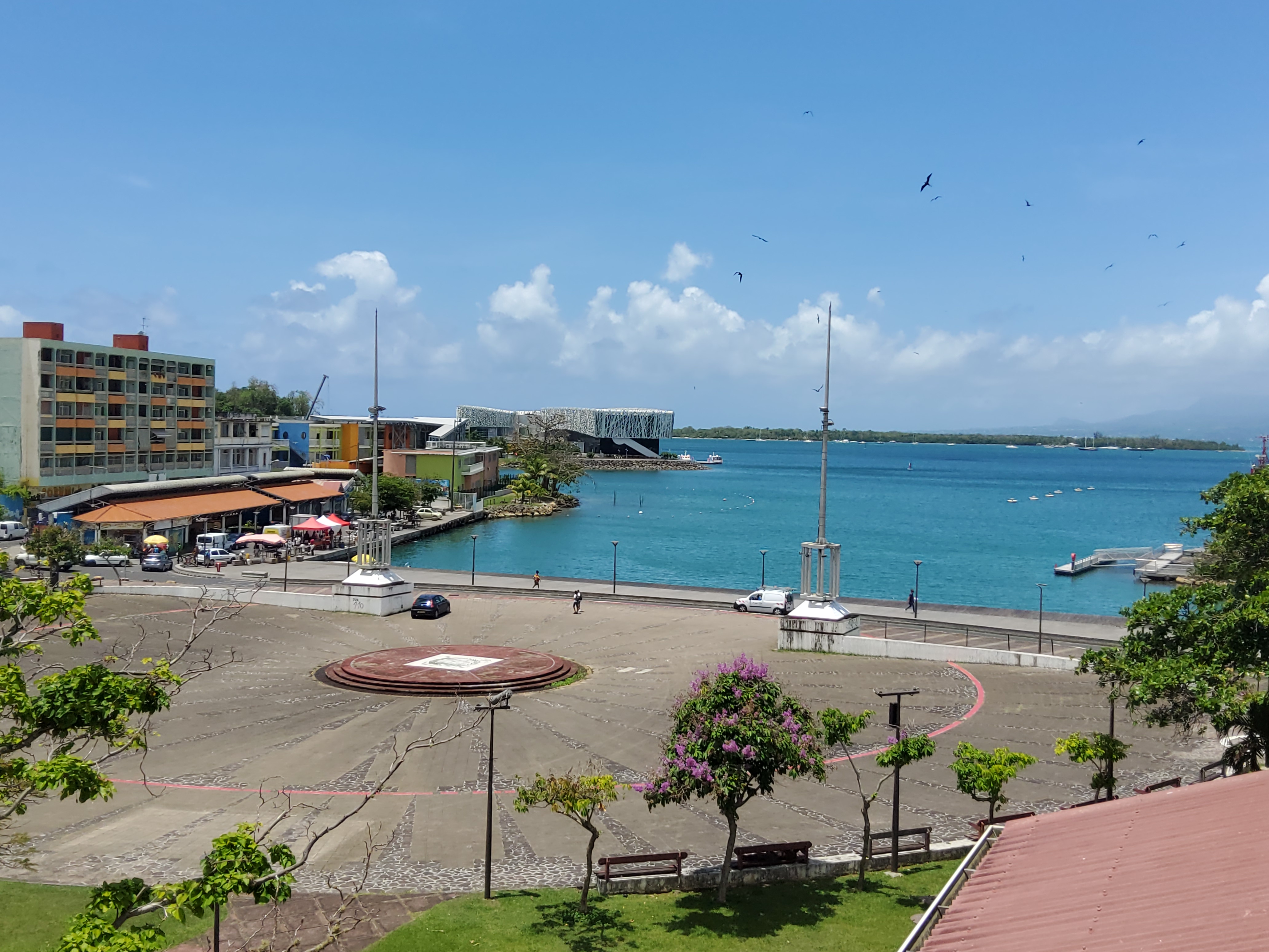 ZANDOLI 

FOR UP TO 6