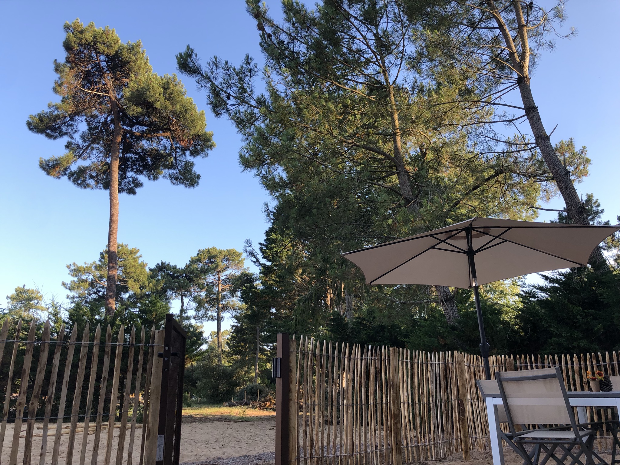 House under the pines in a new residential park