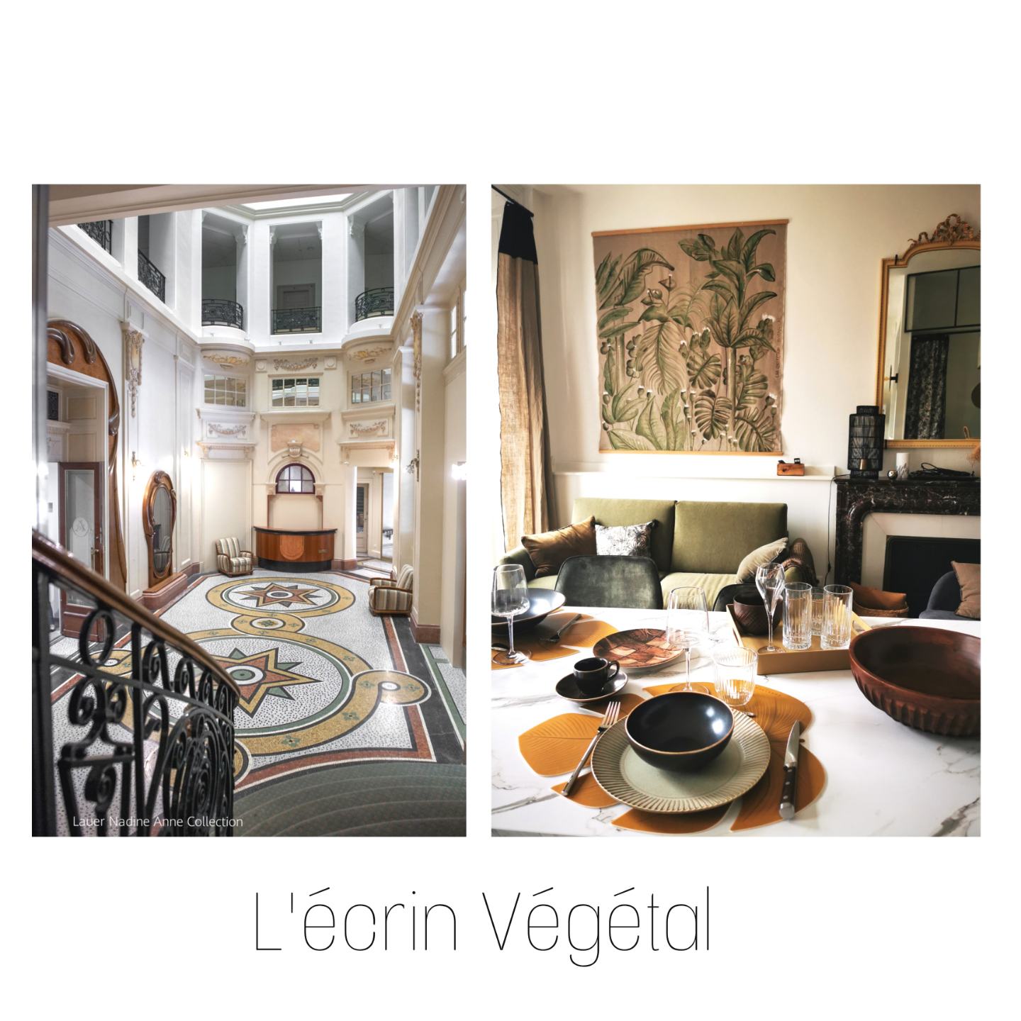 Chic and Cosy apartment 3* downtown Aix