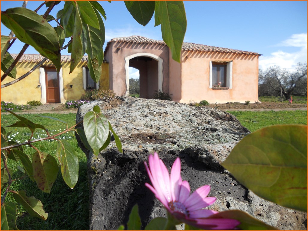Casa Ortensia Giardino Wifi AC