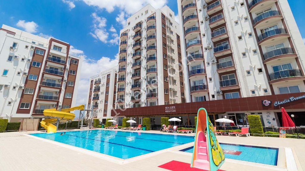 Comfortable studio near the sea in the center of Long Beach