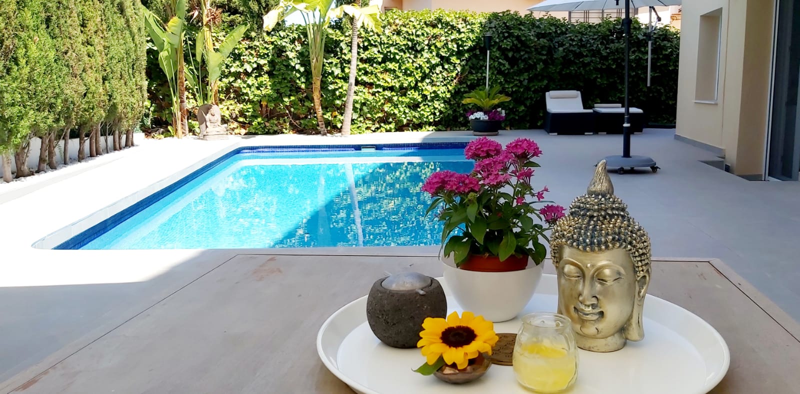 Beautiful guest apartment located in Albir
