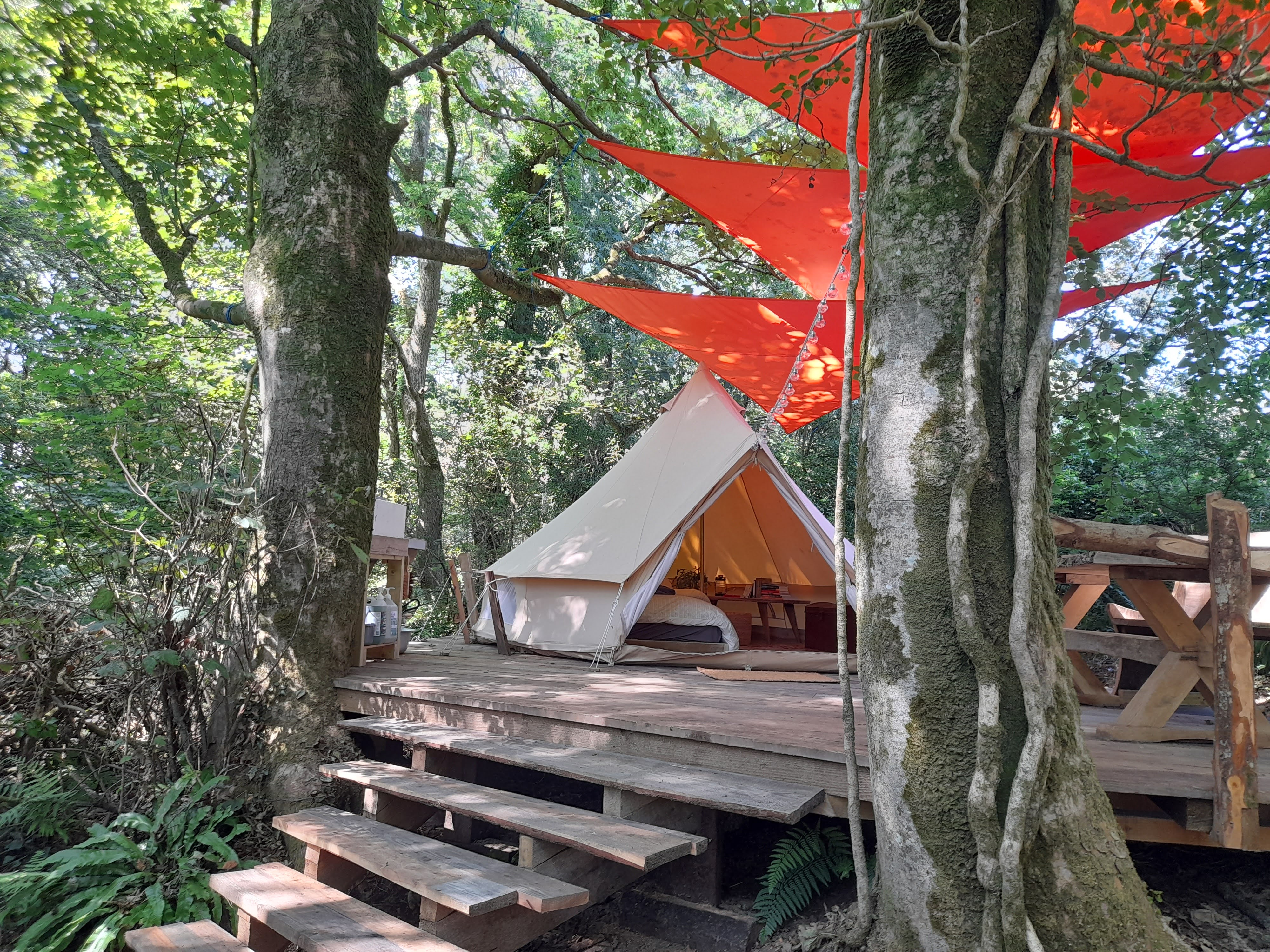 Lowarnick - Private Off-Grid Woodland Bell Tent