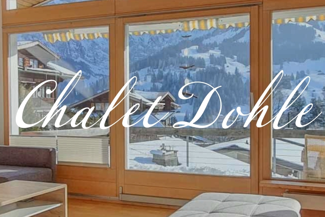Quiet, central, cozy, apartment Adelboden