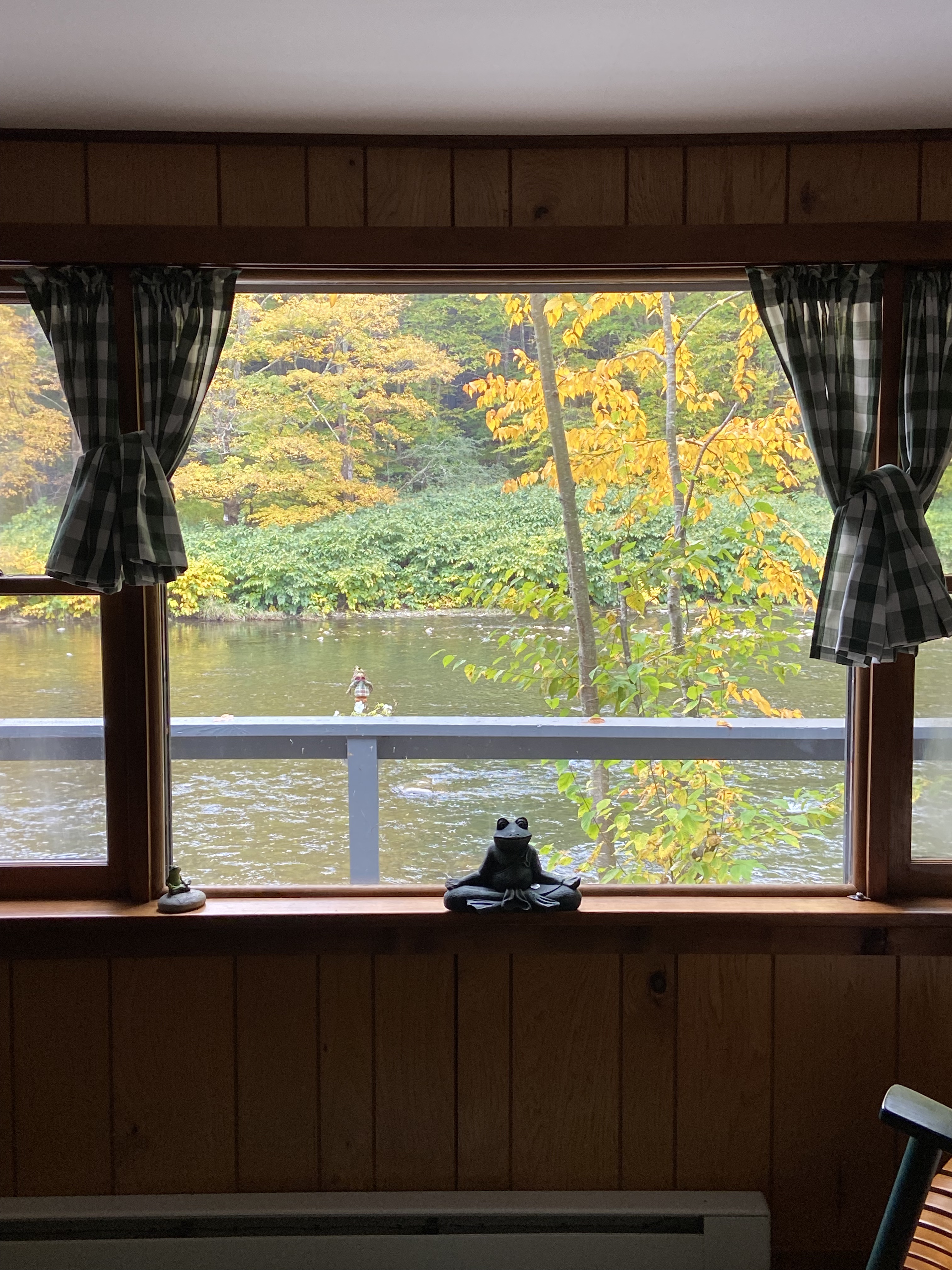 The Cutest cabin on the Beaverkill River