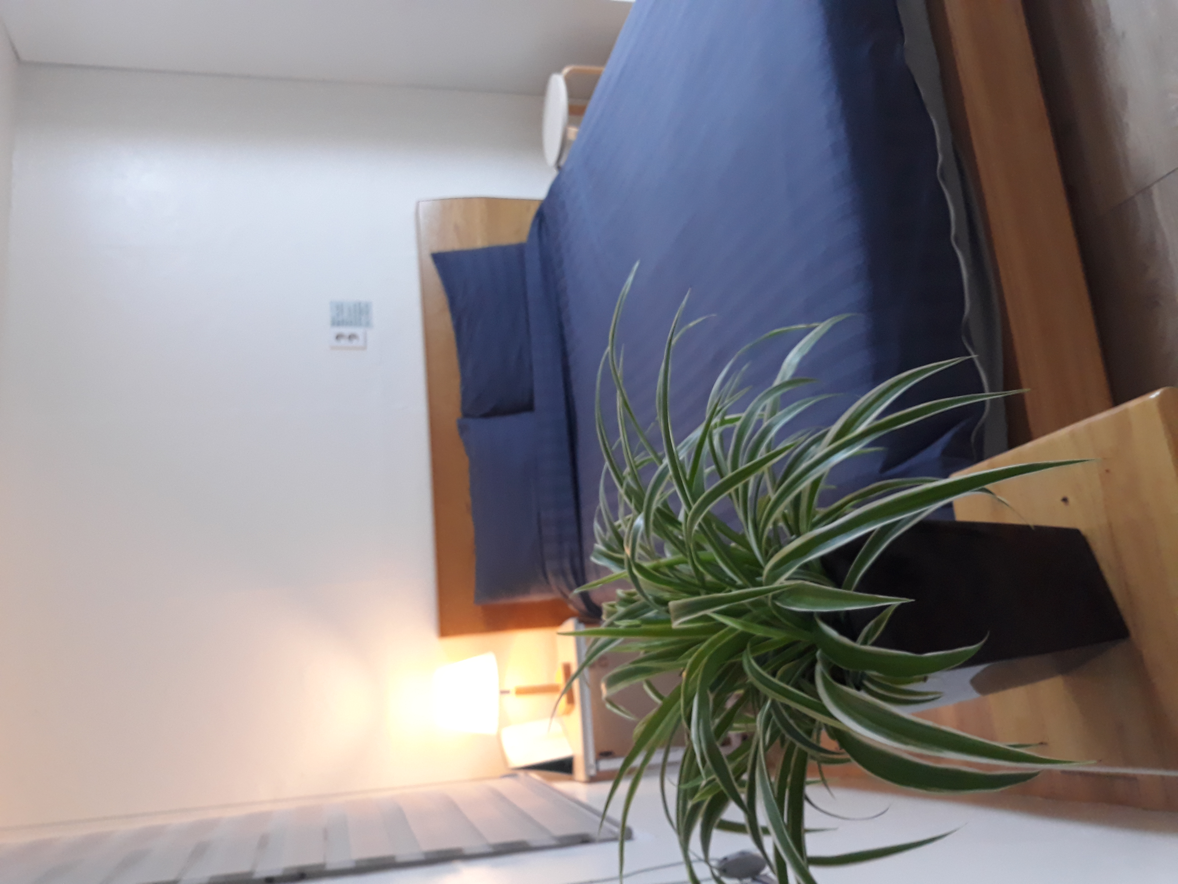 Private barbecue grill available
Jenijeong Guest House No.
102

@ Somple modern accommodation close to the sea
@ There are many windows, so on the deck under the clean sun, you can see the sea, and the ridge of Seorak that you can see through the window. 
It's a pleasure to see Ulsan Rock.