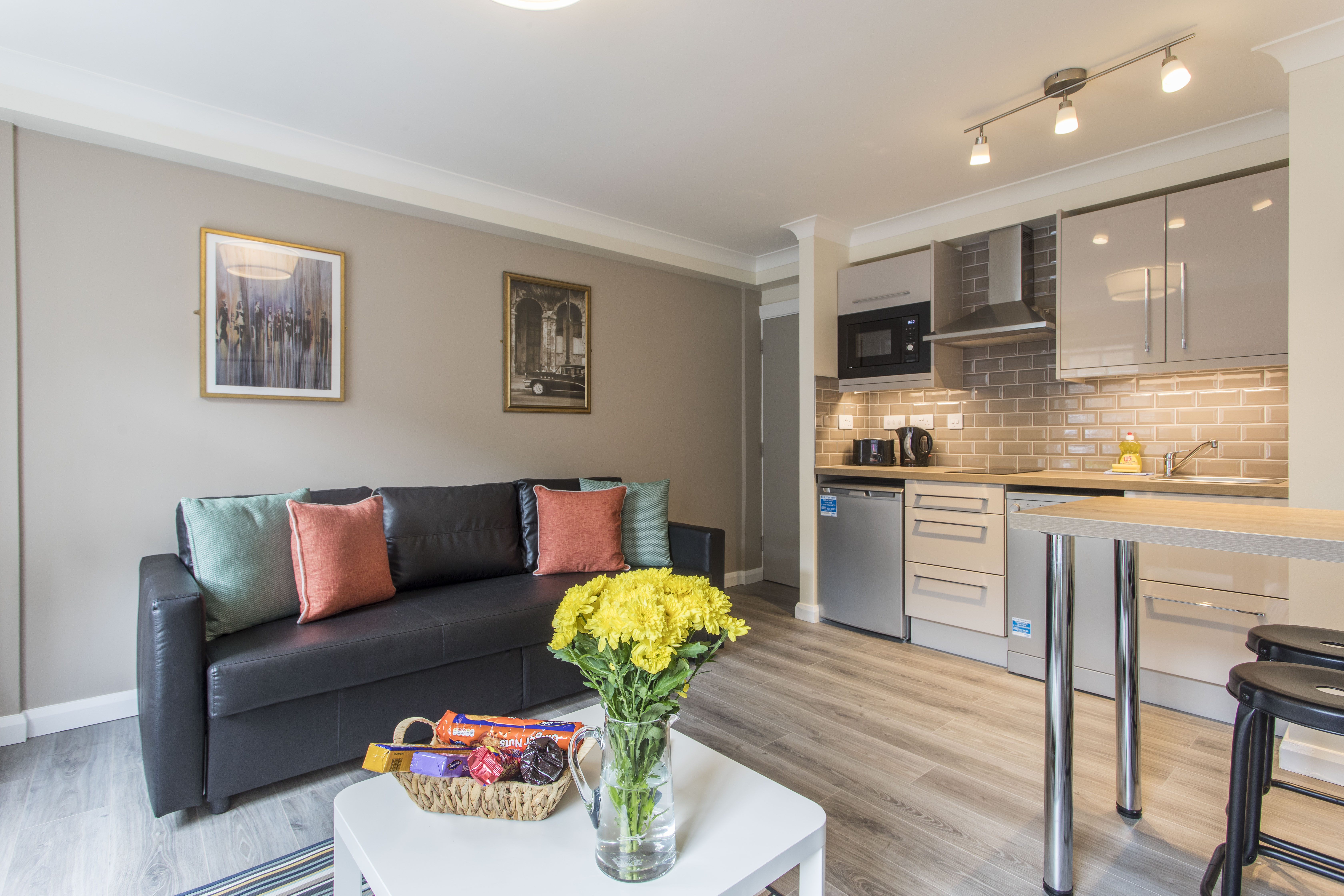 Spacious 2 bedroom apt in Temple Bar - City Centre