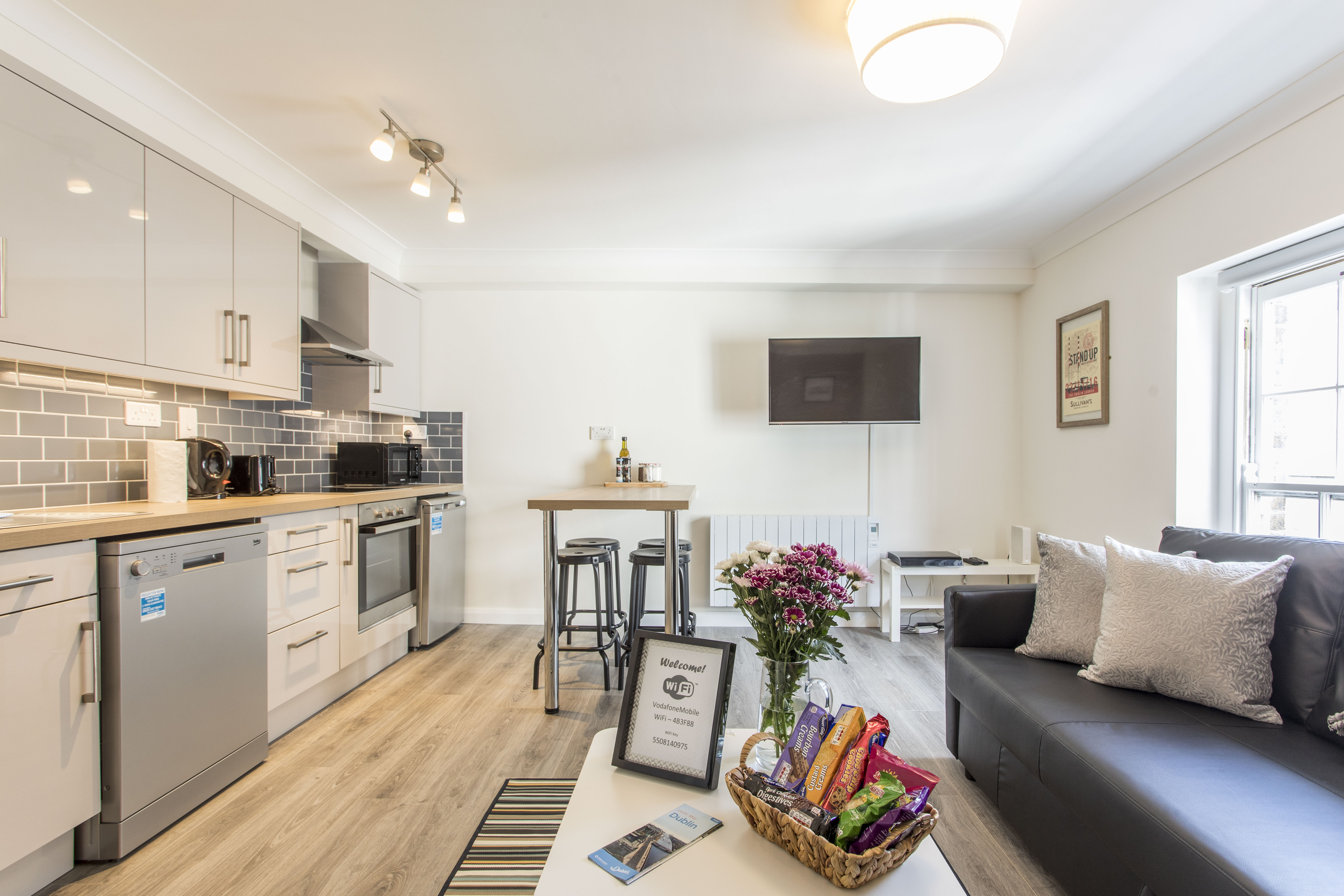 Cosy 2 bedroom apt in Temple Bar - City Centre