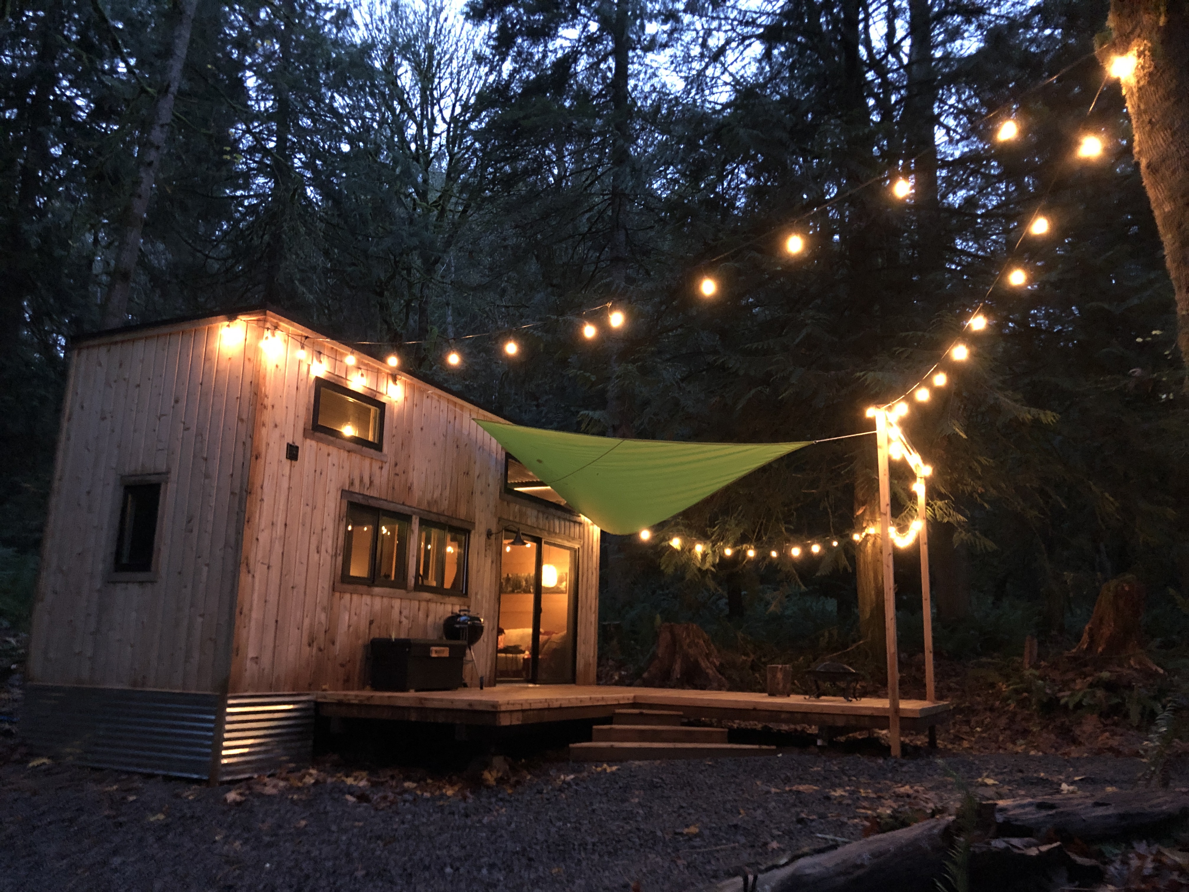 Little house in the forest watch online sales