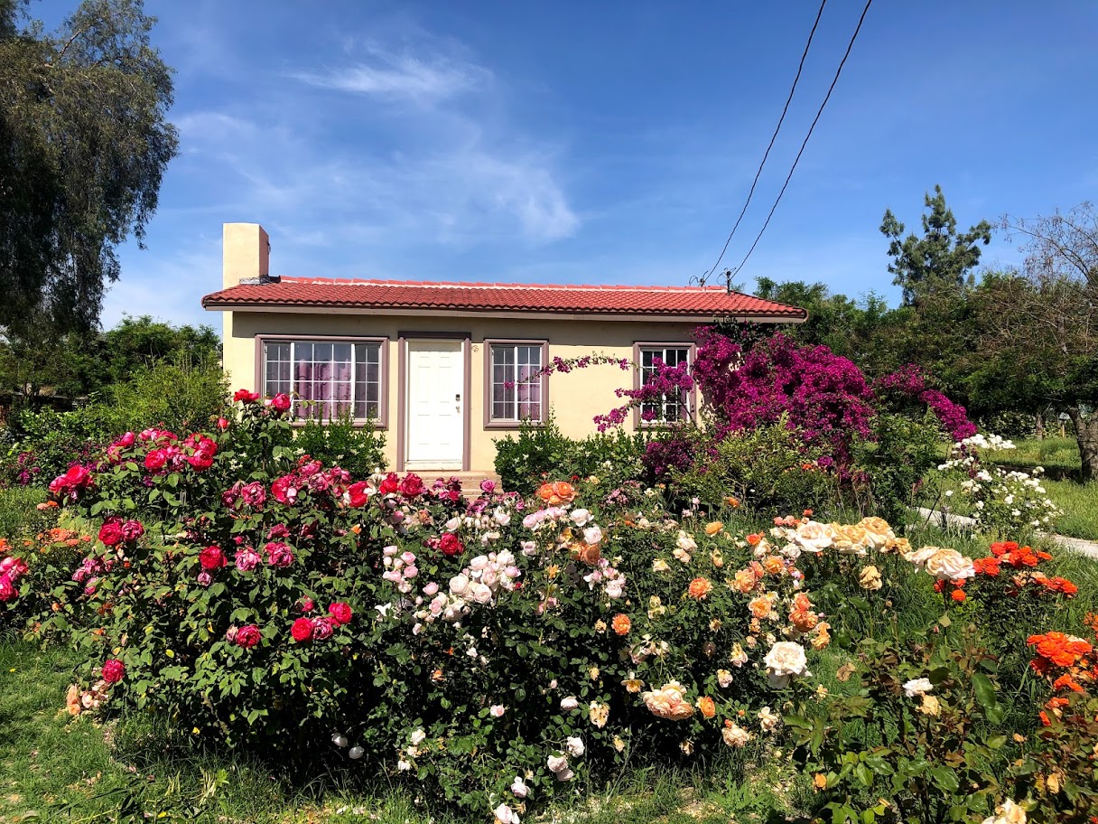 Delightful 1 bedroom & den in gated 2 acre garden