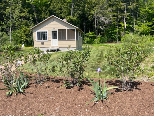 Artist's Cottage #5