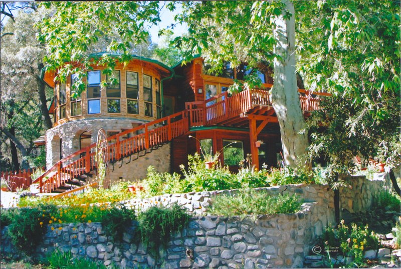 Bird nest suite an oasis of comfort in the forest. Nature lodges for