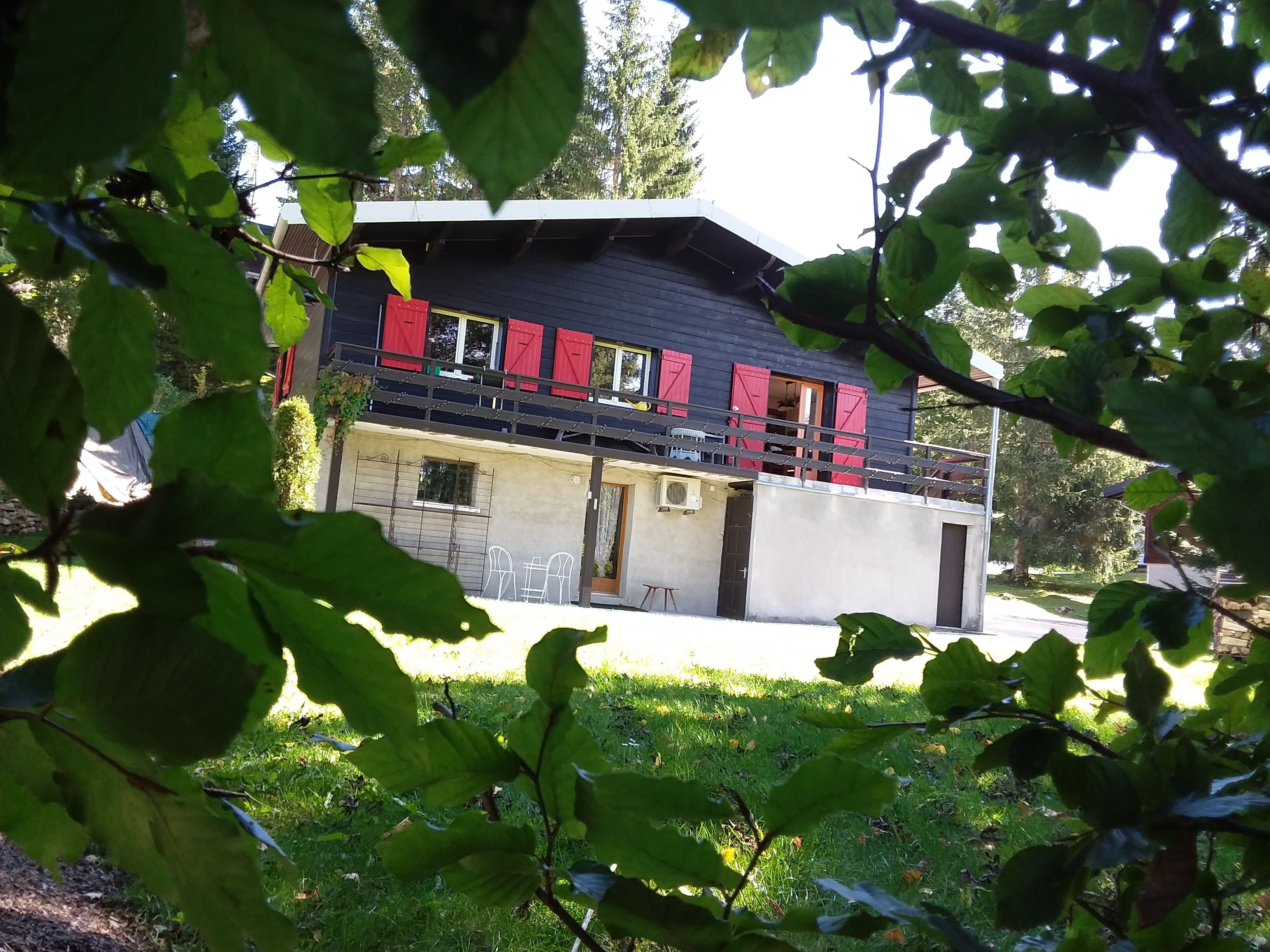 Jacobeys Blueberry Chalet