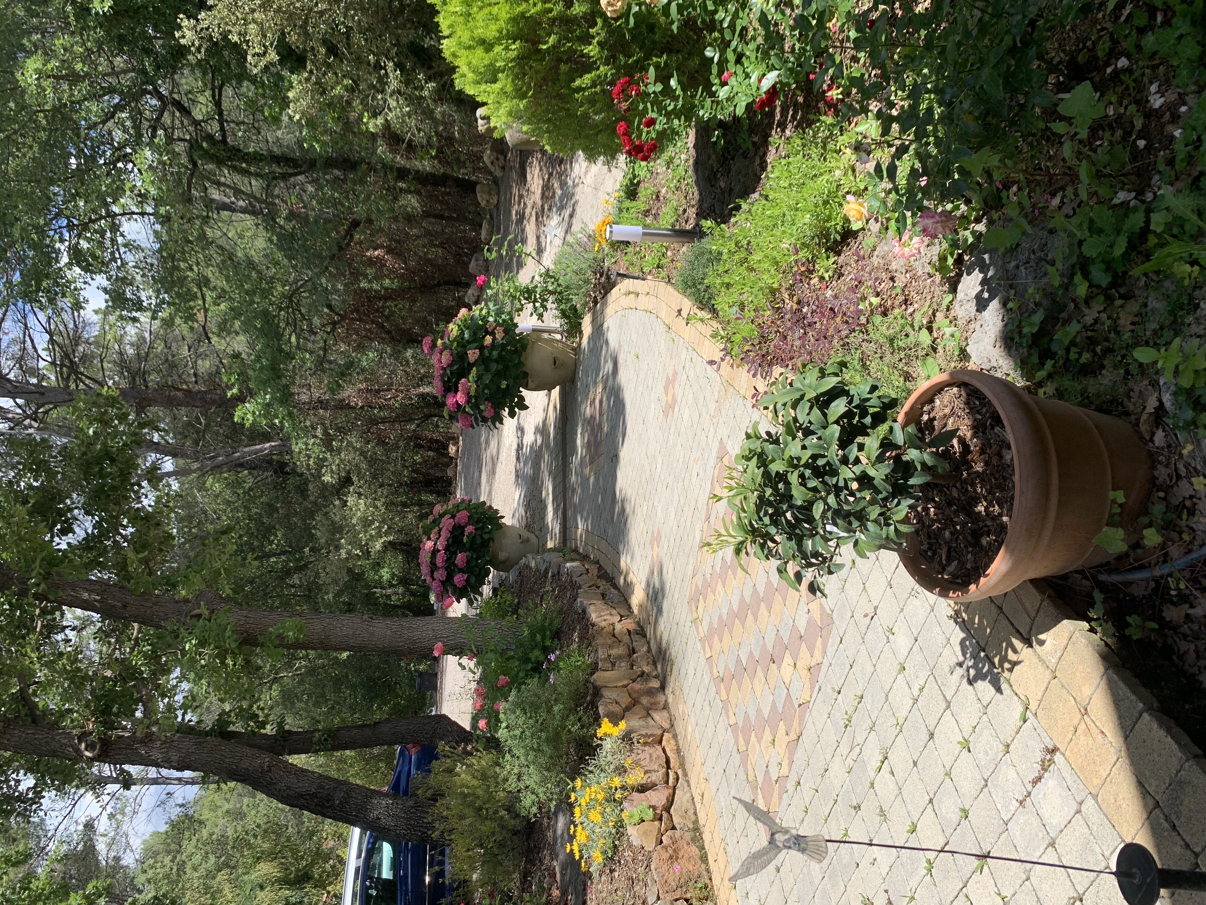 AUX IRIS
independent studio