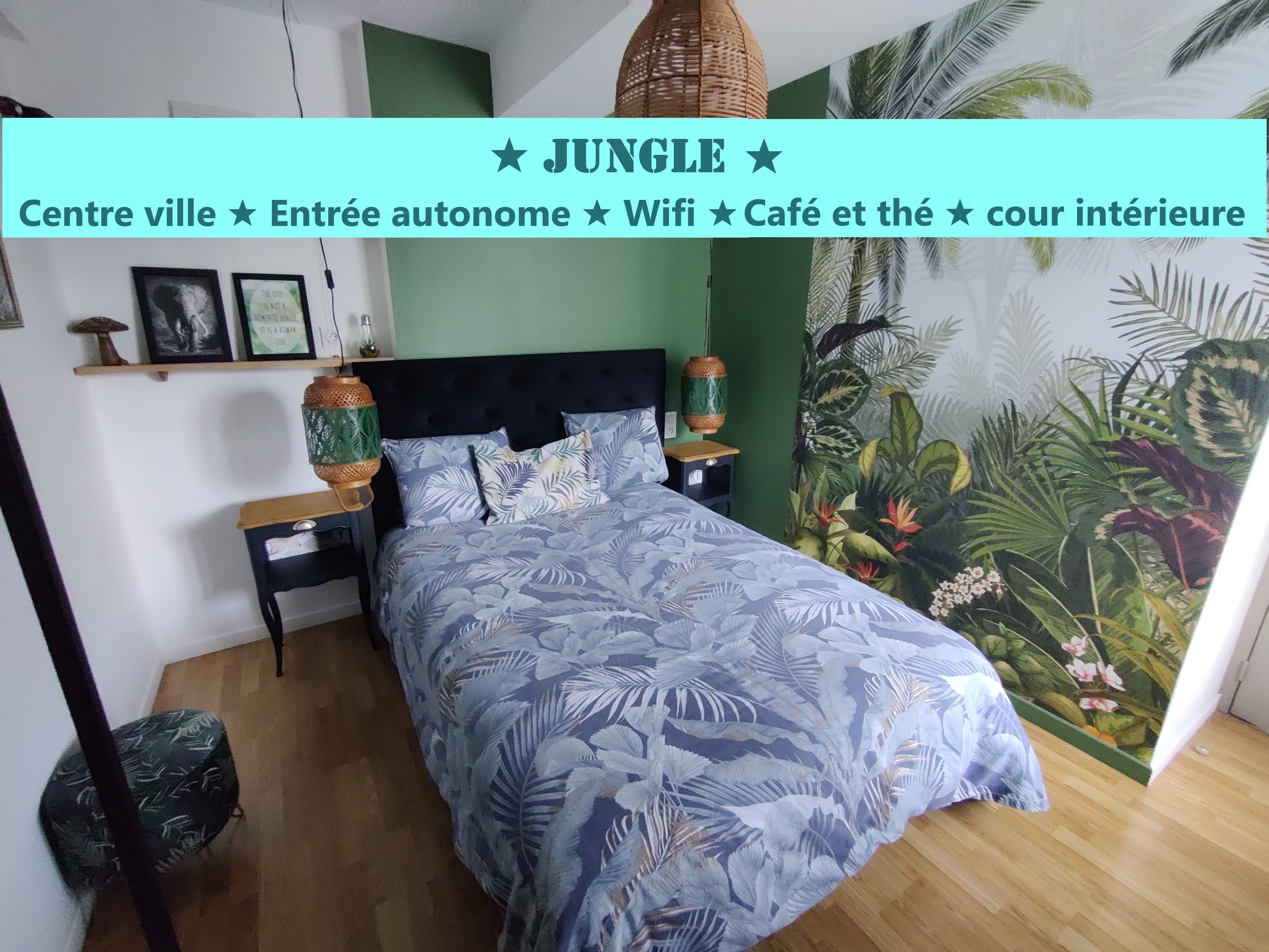 Apartment T2 ★Jungle★ Downtown