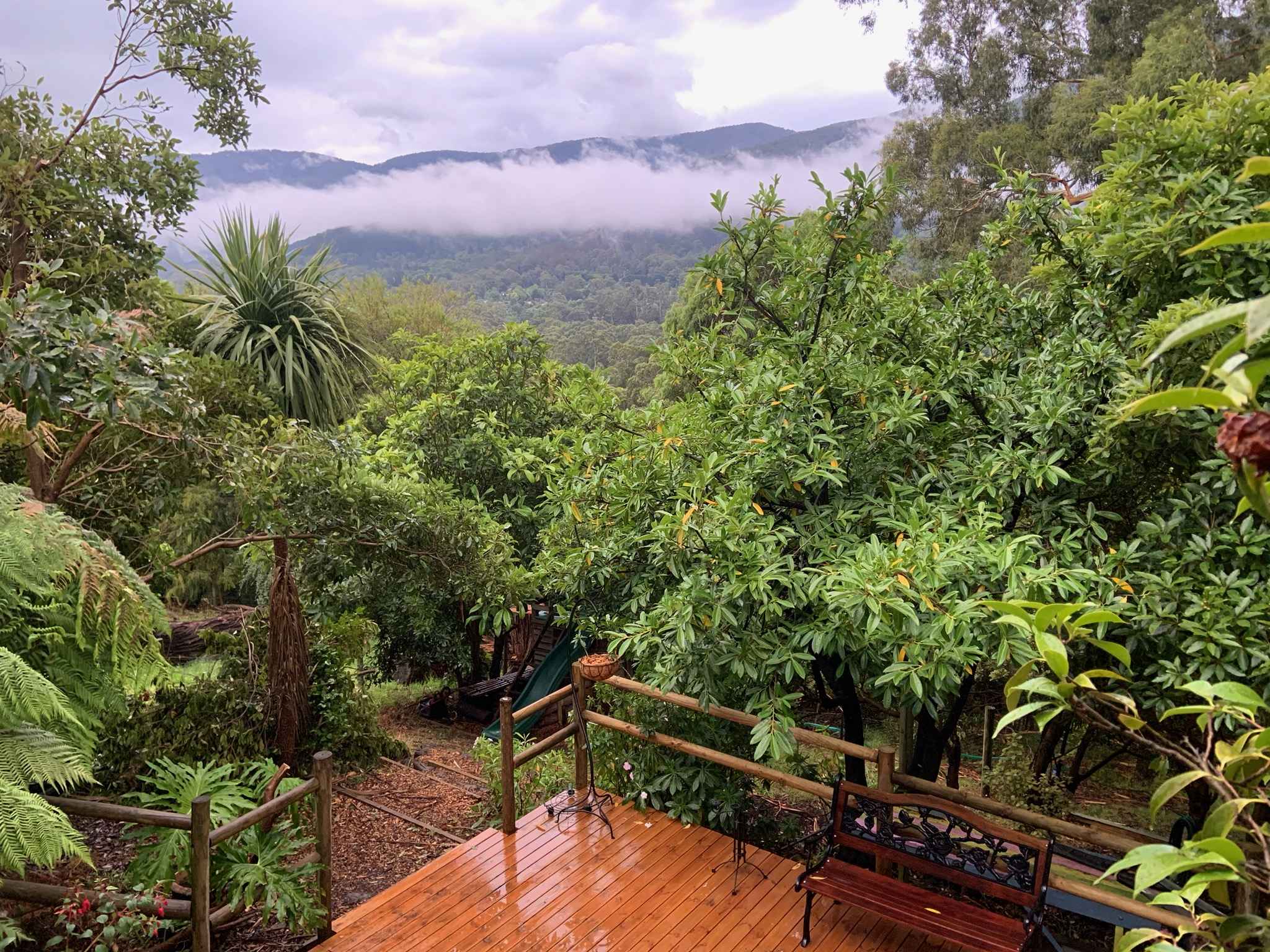 'Wahroonga' home among the Gum trees in Warburton Houses for Rent in