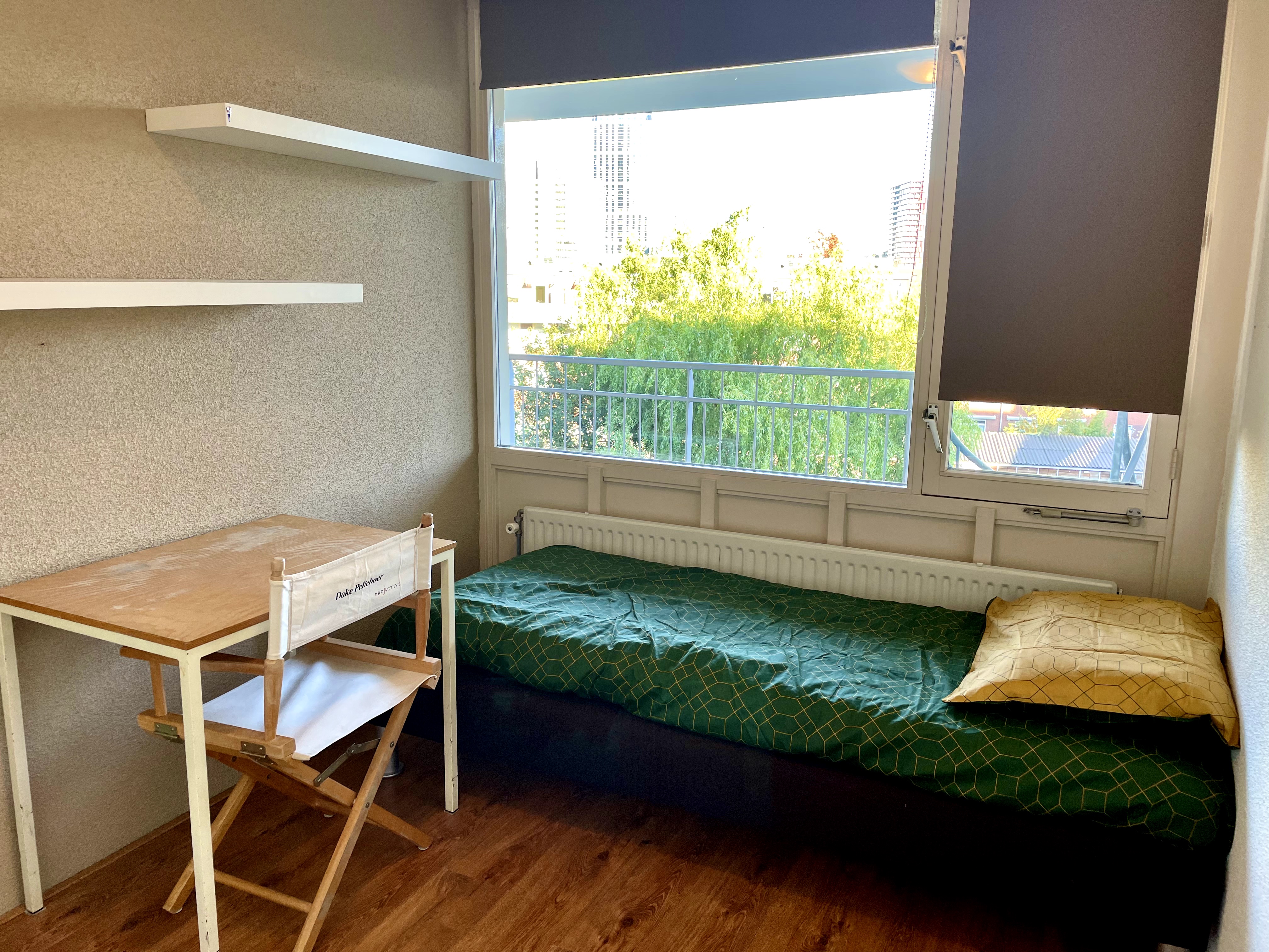 Private bedroom 10 min walk to central station — Rotterdam stay