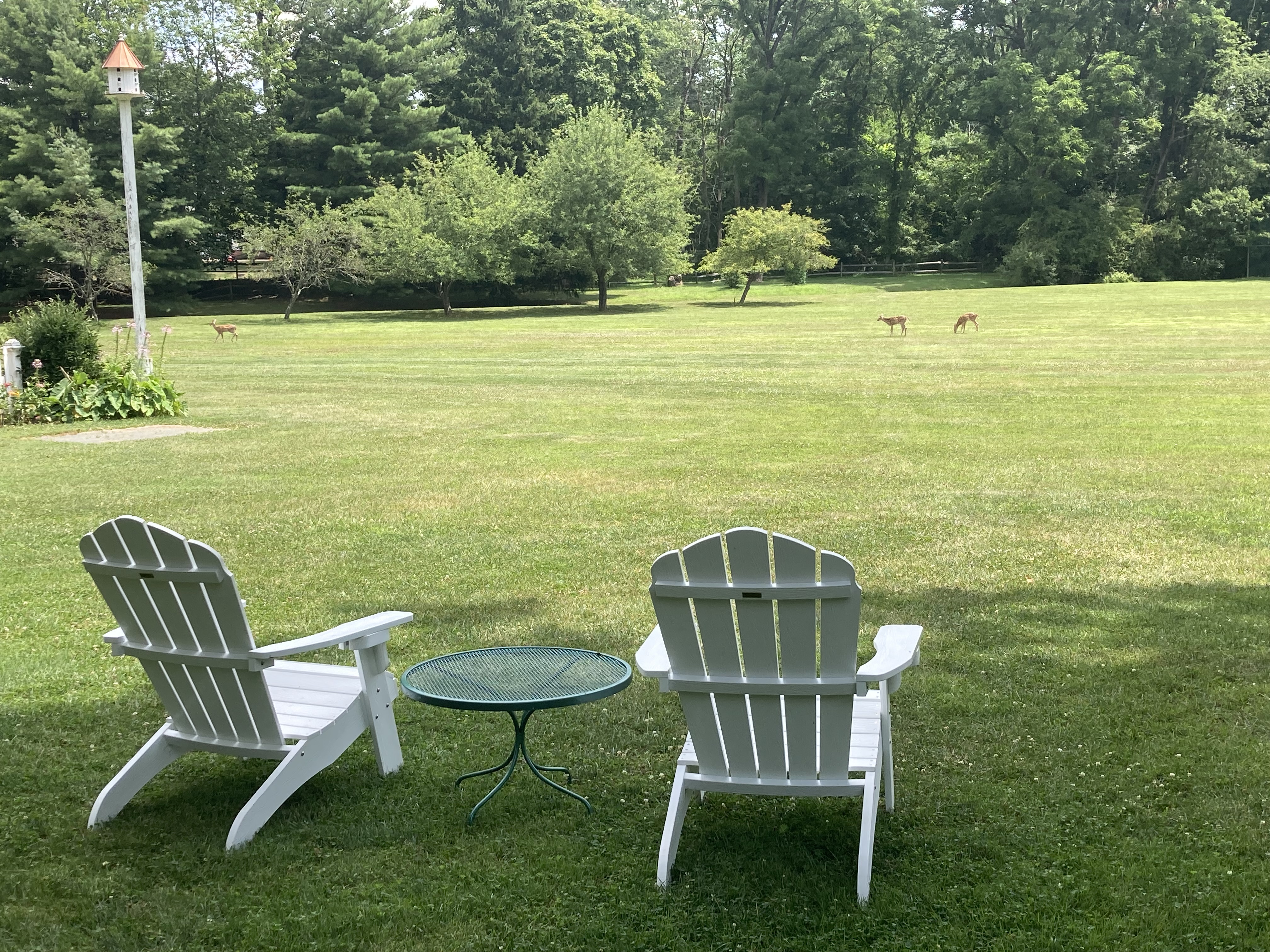 Spacious studio on 5 acres