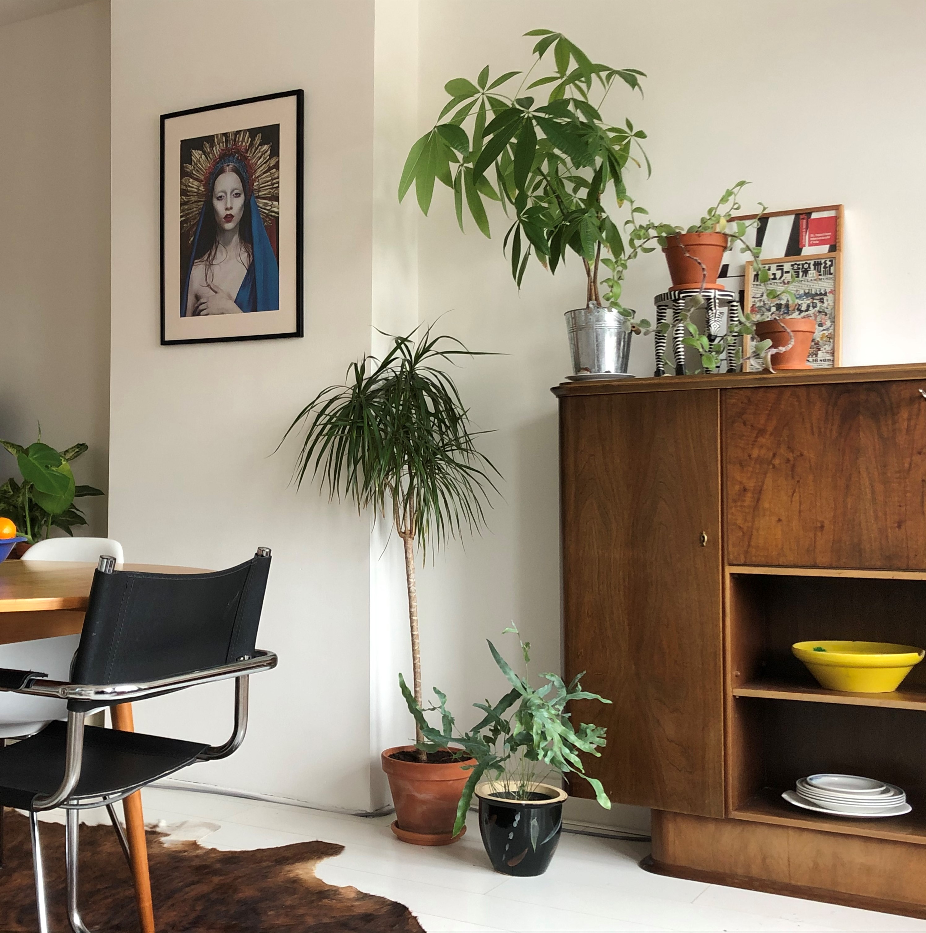 stylish 30s apartment with canal view! — Rotterdam stay