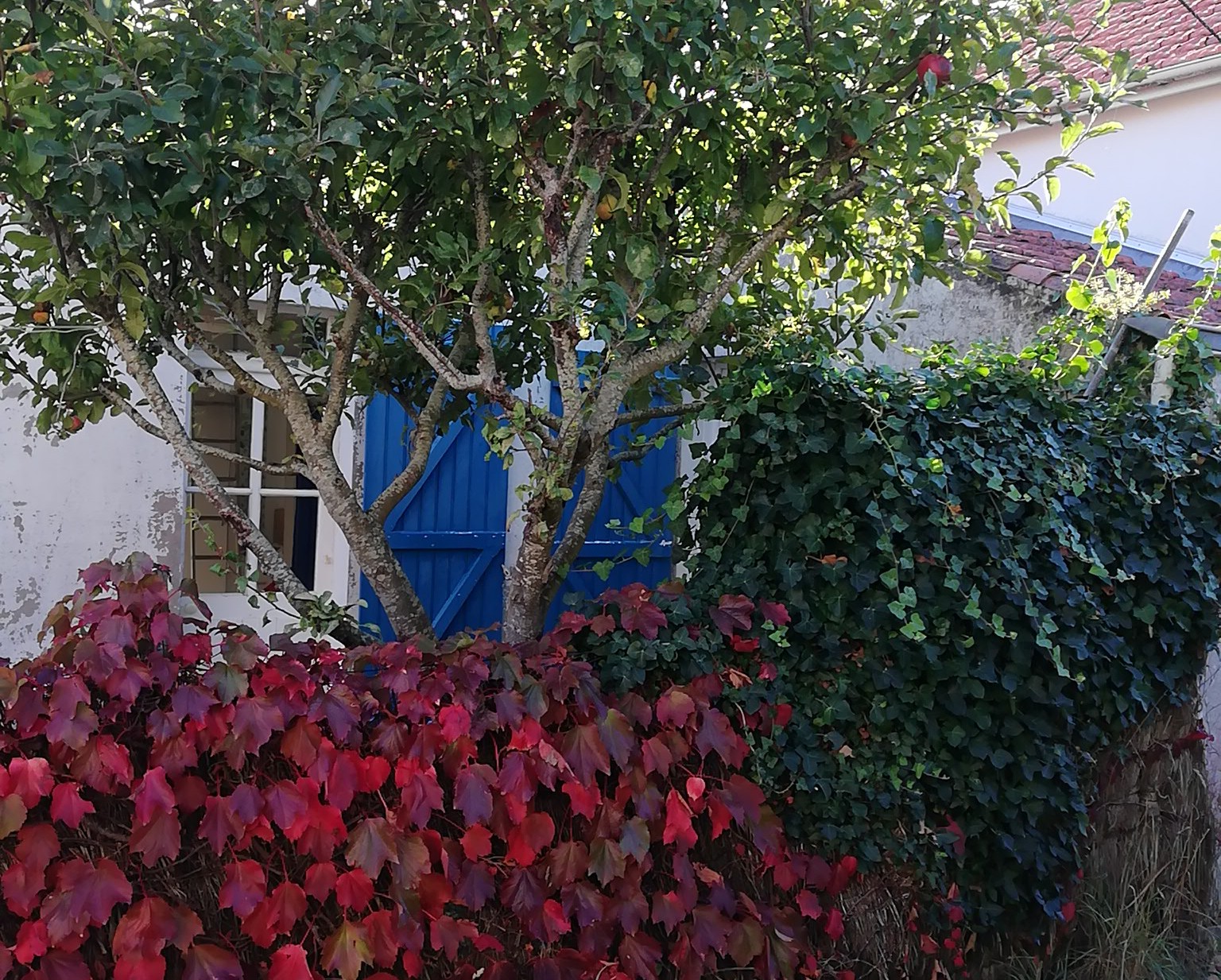 Warm family home close to the beach