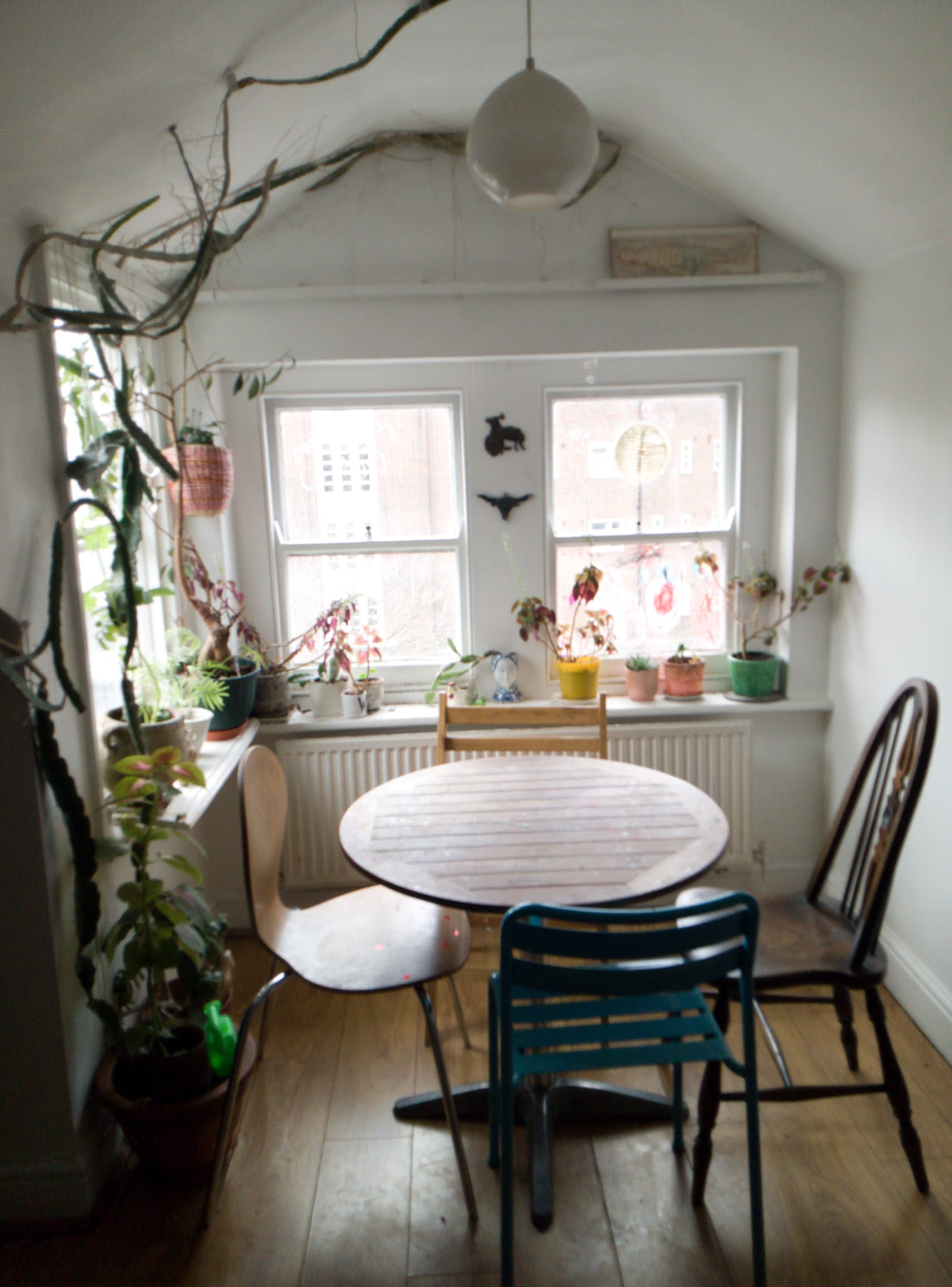 Airy birds' nest of a flat in Clapton, east London in Hackney, London