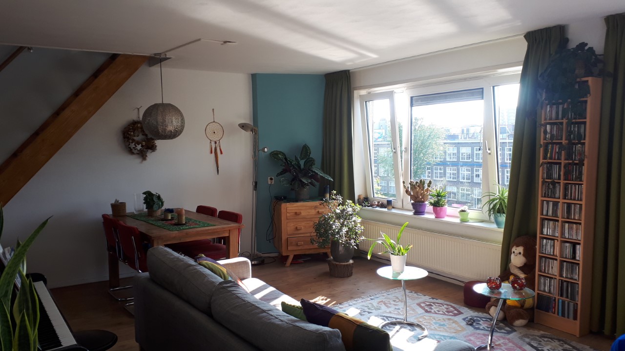 cosy colourful planty appartment with canalview! — Amsterdam stay